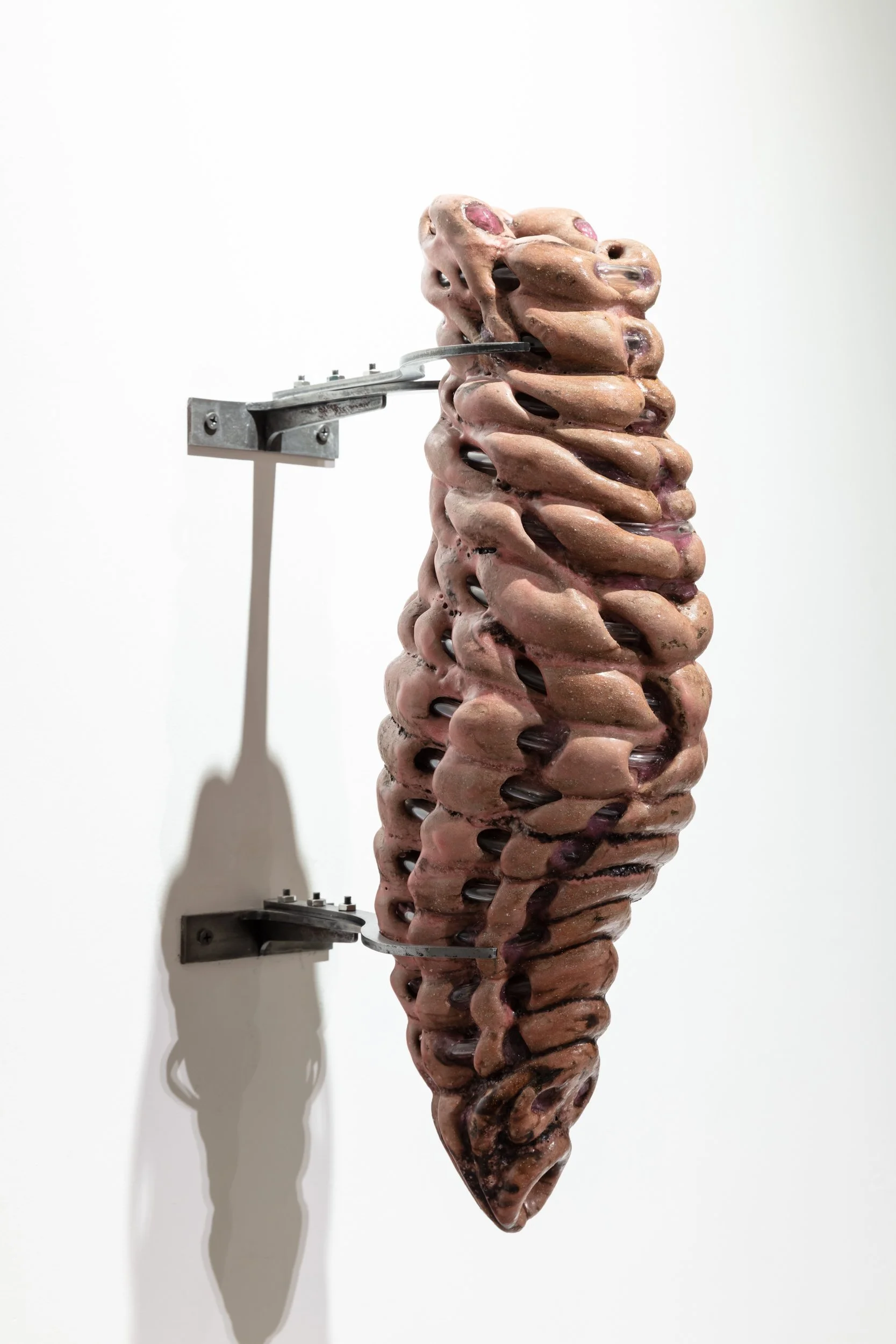 Larvae IV, 2026. Stoneware, glaze, IV medical tubes, silicone and steel. 18 in x 5.5 in x 8.5 in. 

 
Photo: Artdoc Chicago. 