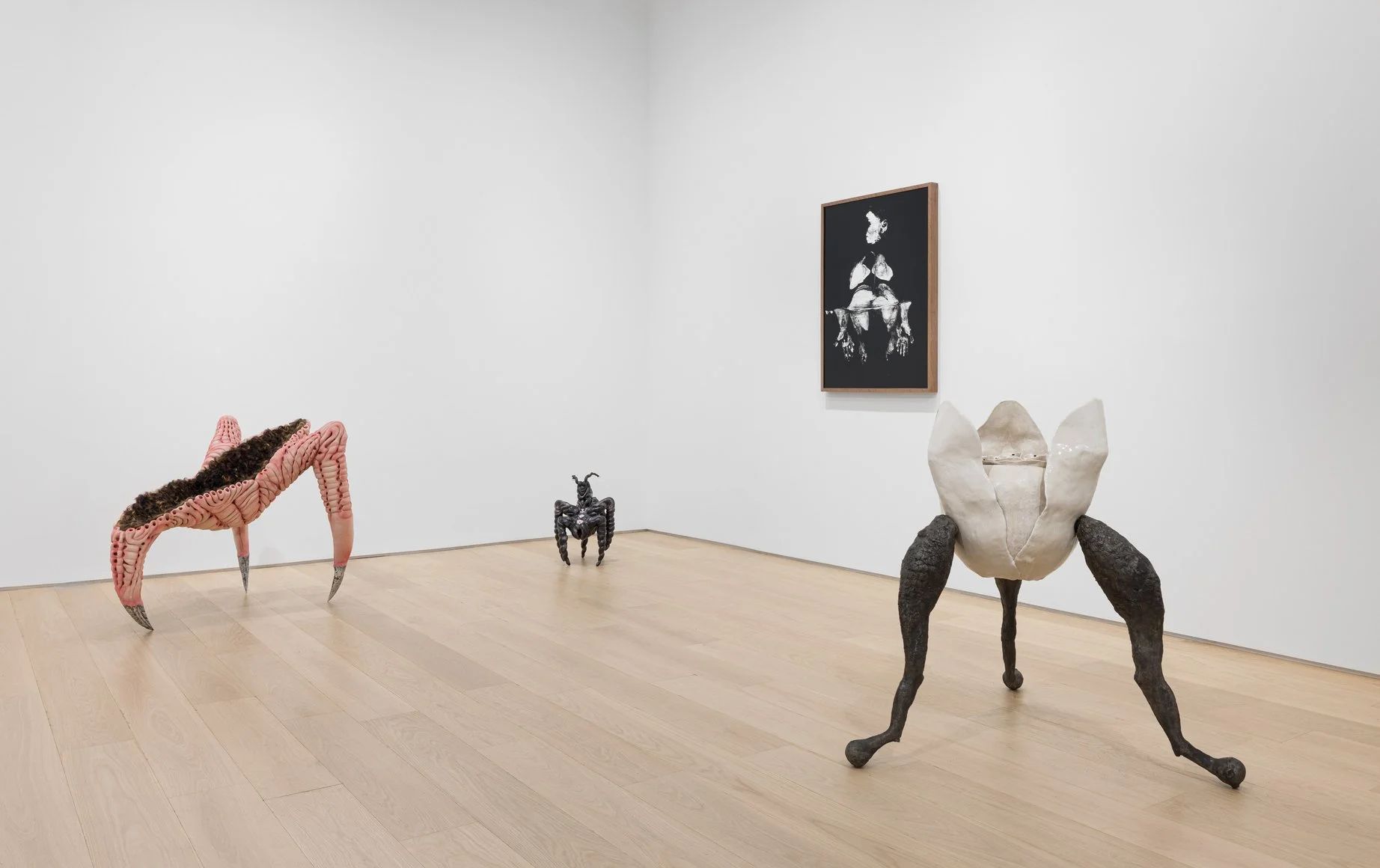 Installation view. 
Photo: Etienne Frossard.