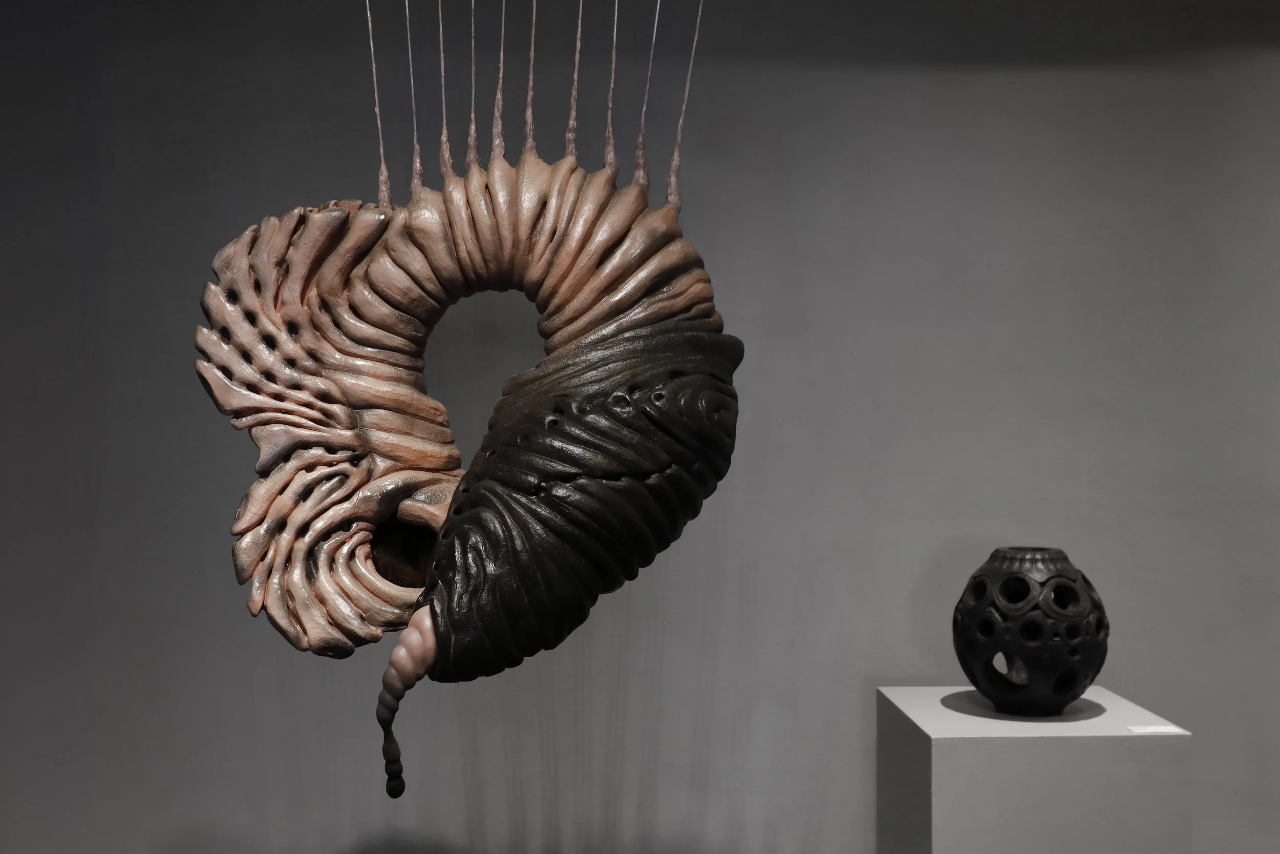 Installation view. 
Photo: Courtesy of The New Bedford Museum.