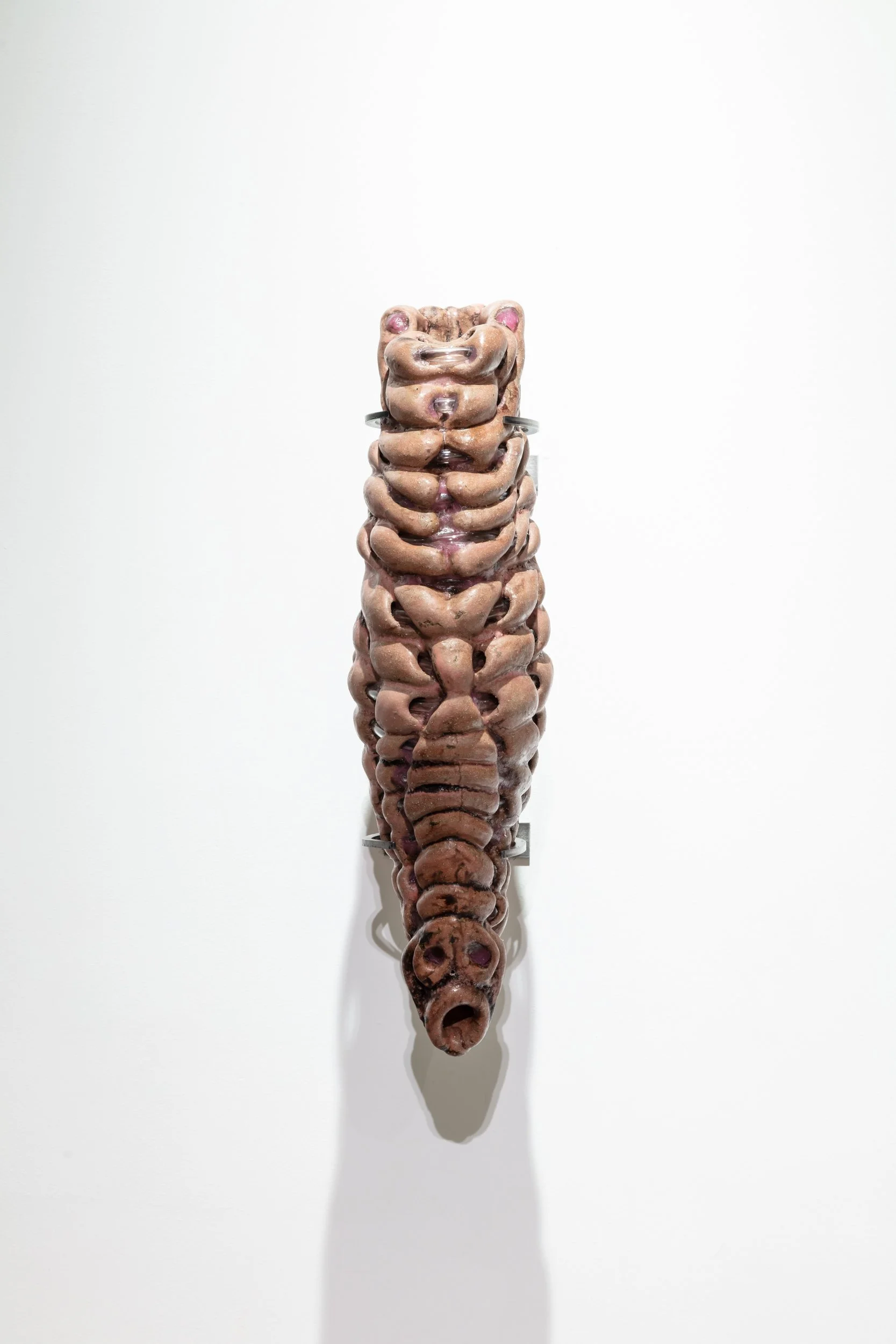 Larvae IV, 2026. Stoneware, glaze, IV medical tubes, silicone and steel. 18 in x 5.5 in x 8.5 in. 
 
Photo: Artdoc Chicago. 