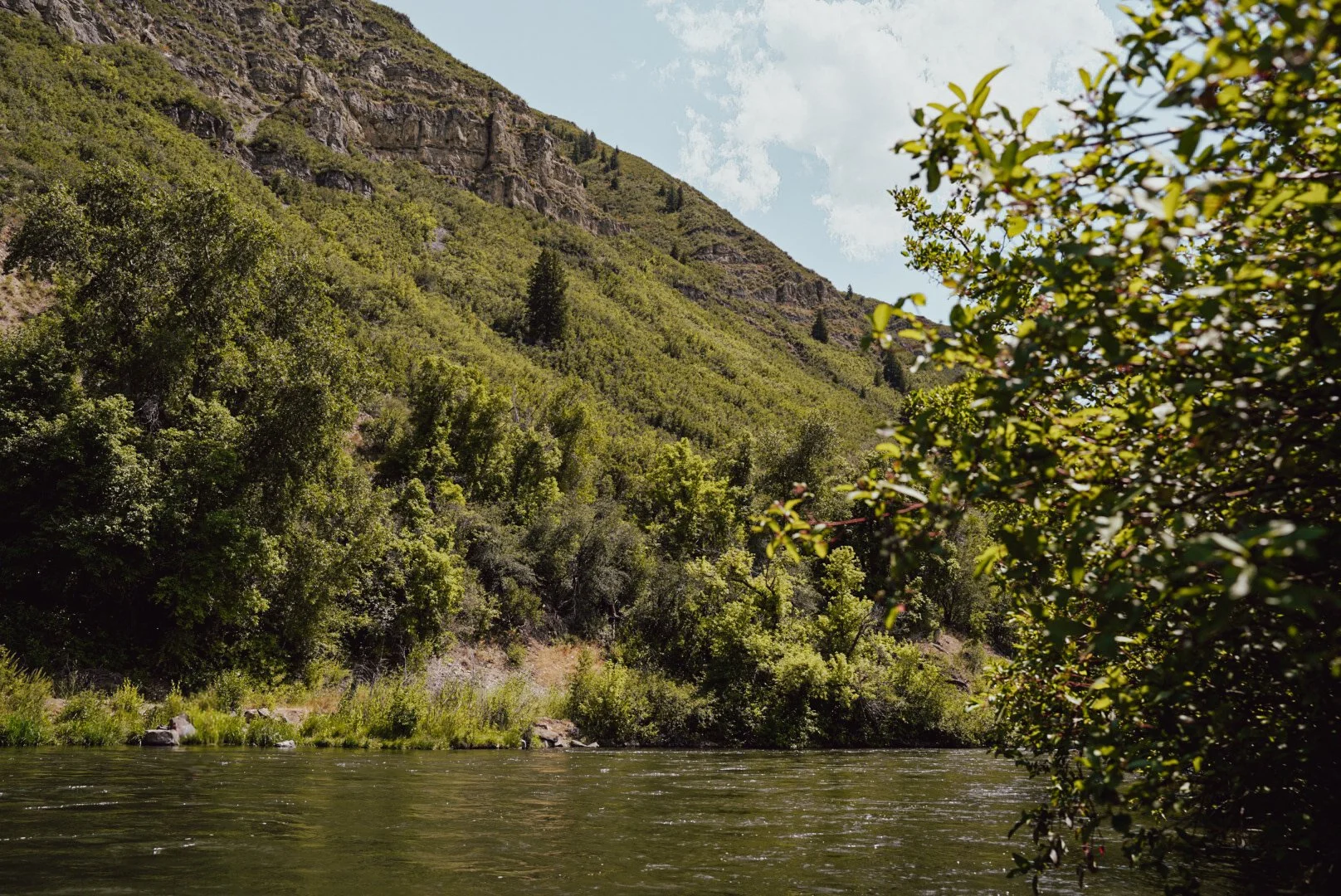 A river flowing through a lush, green valley with trees on the riverbank and a mountain covered in greenery in the background under a partly cloudy sky.