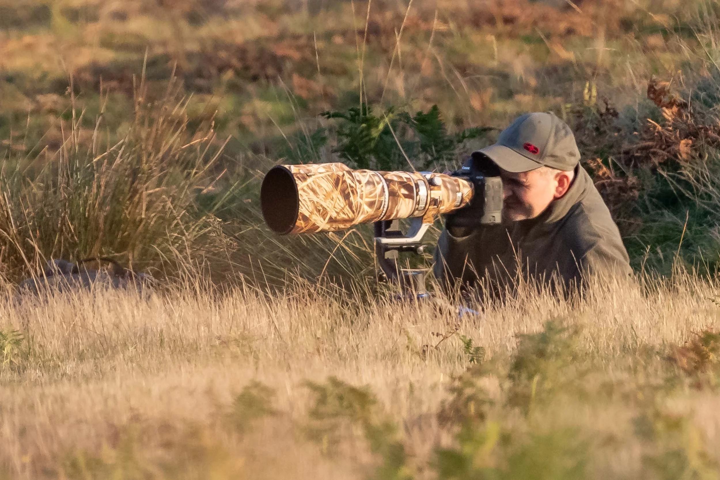 Portrait of wildlife photographer Mark Evans in action with camera and telephoto lens lying in deep grass