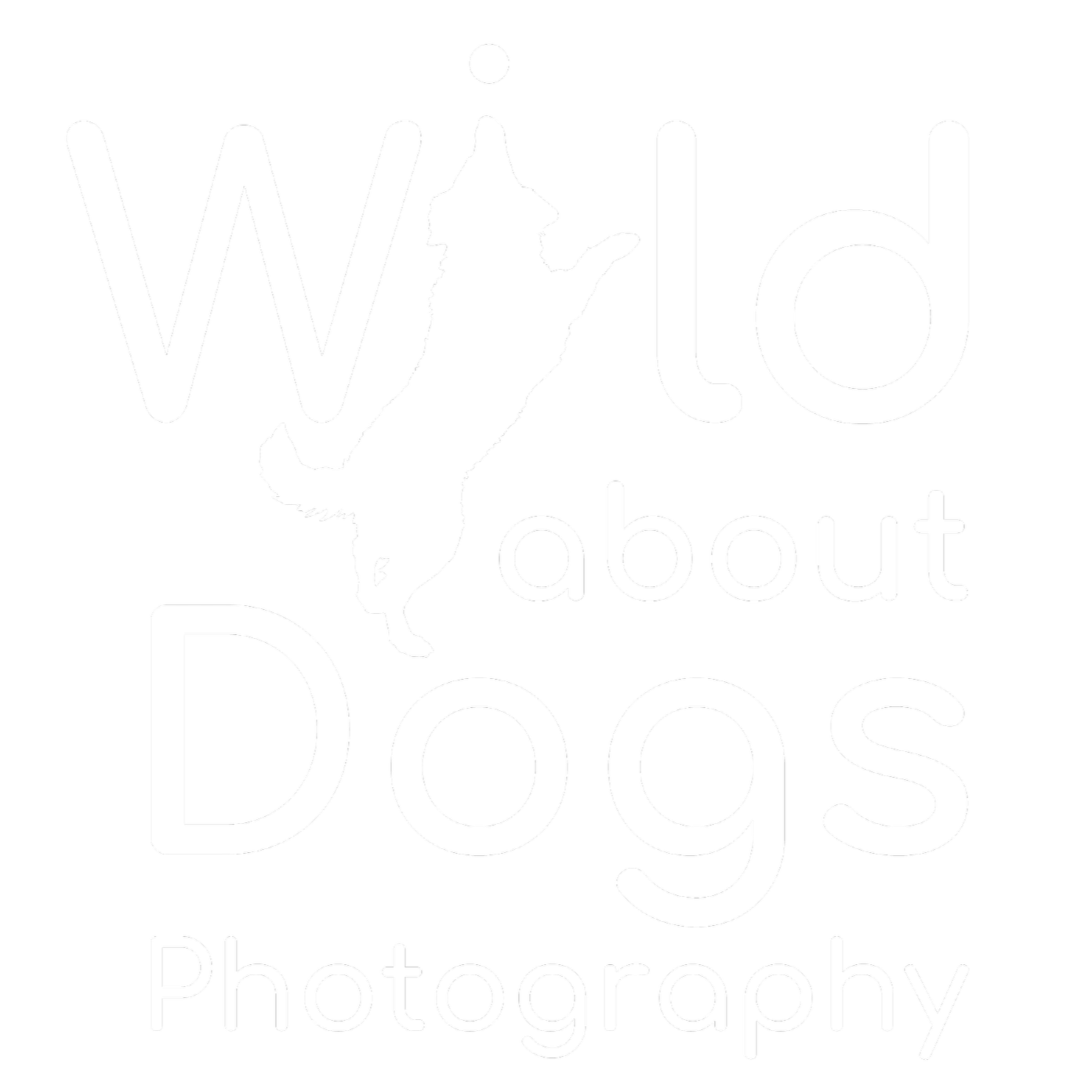 Wild About Dogs Photography