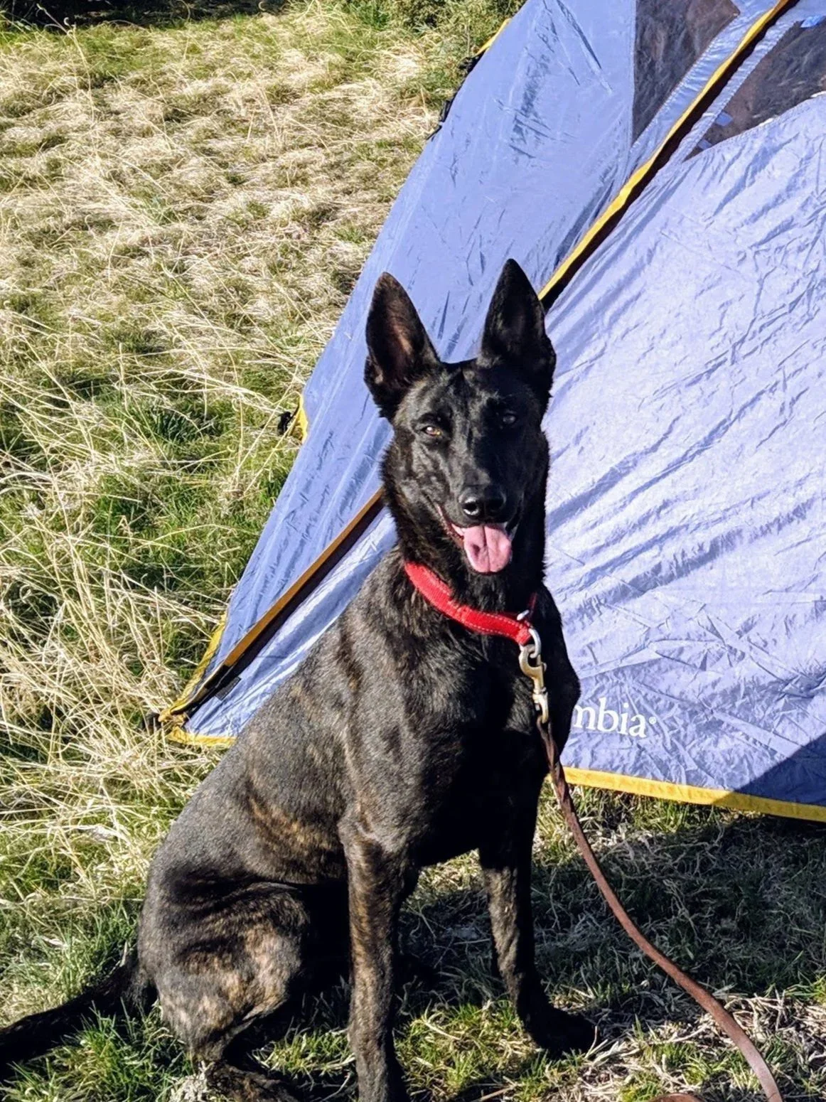 Echo (DD)_2021Chatfield.webp