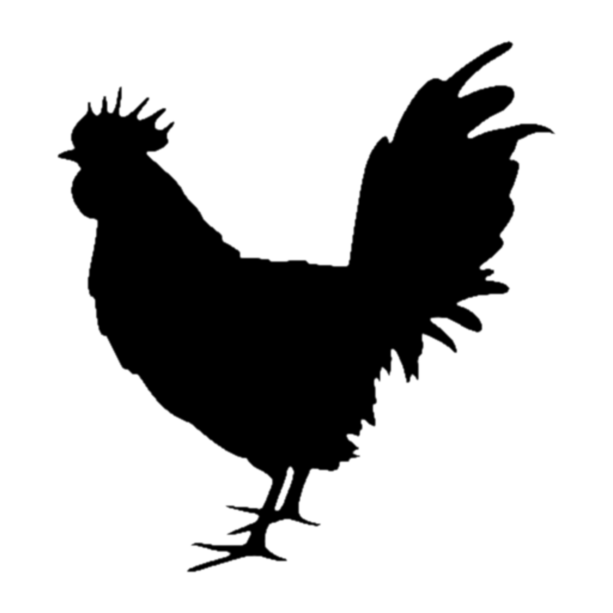 Outline of a rooster.