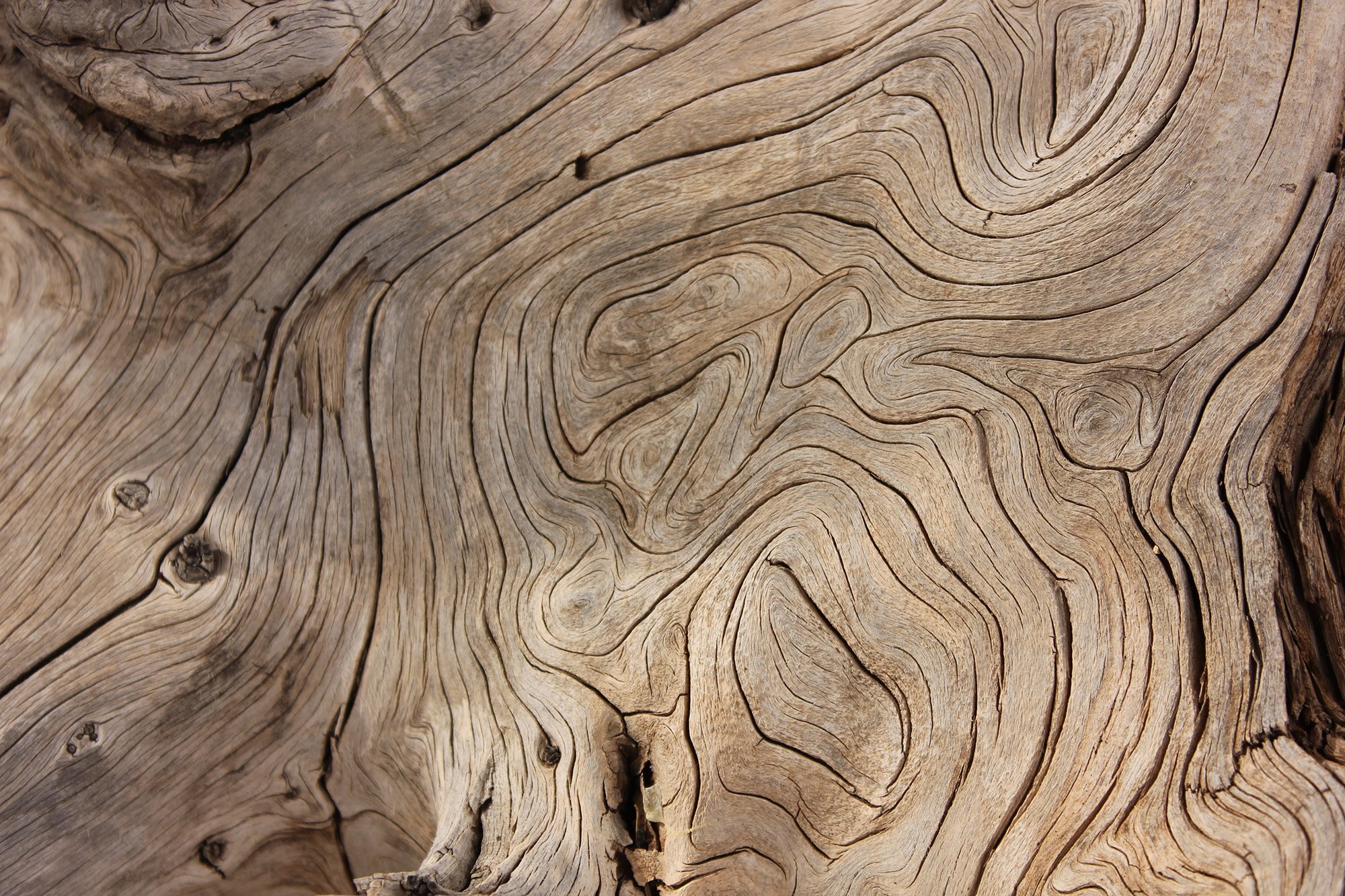 Close-up of weathered, textured wood grain with swirling patterns.