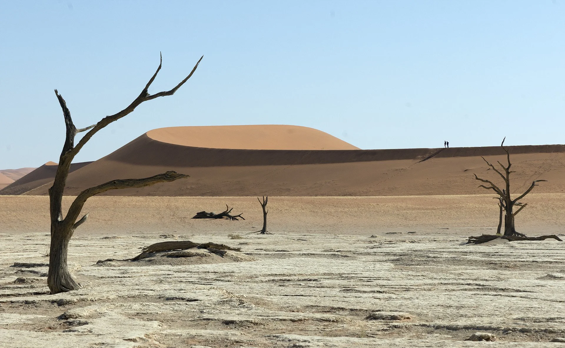 3Q0A2026 Straight.jpg