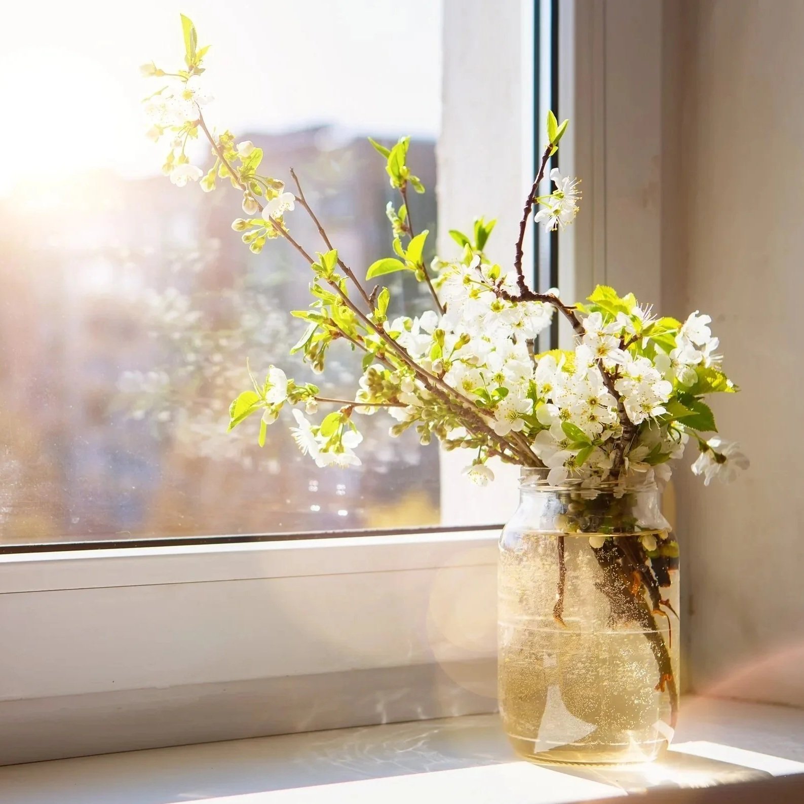 Glass jar filled with clear water, representing client reflections, healing, and personal growth.