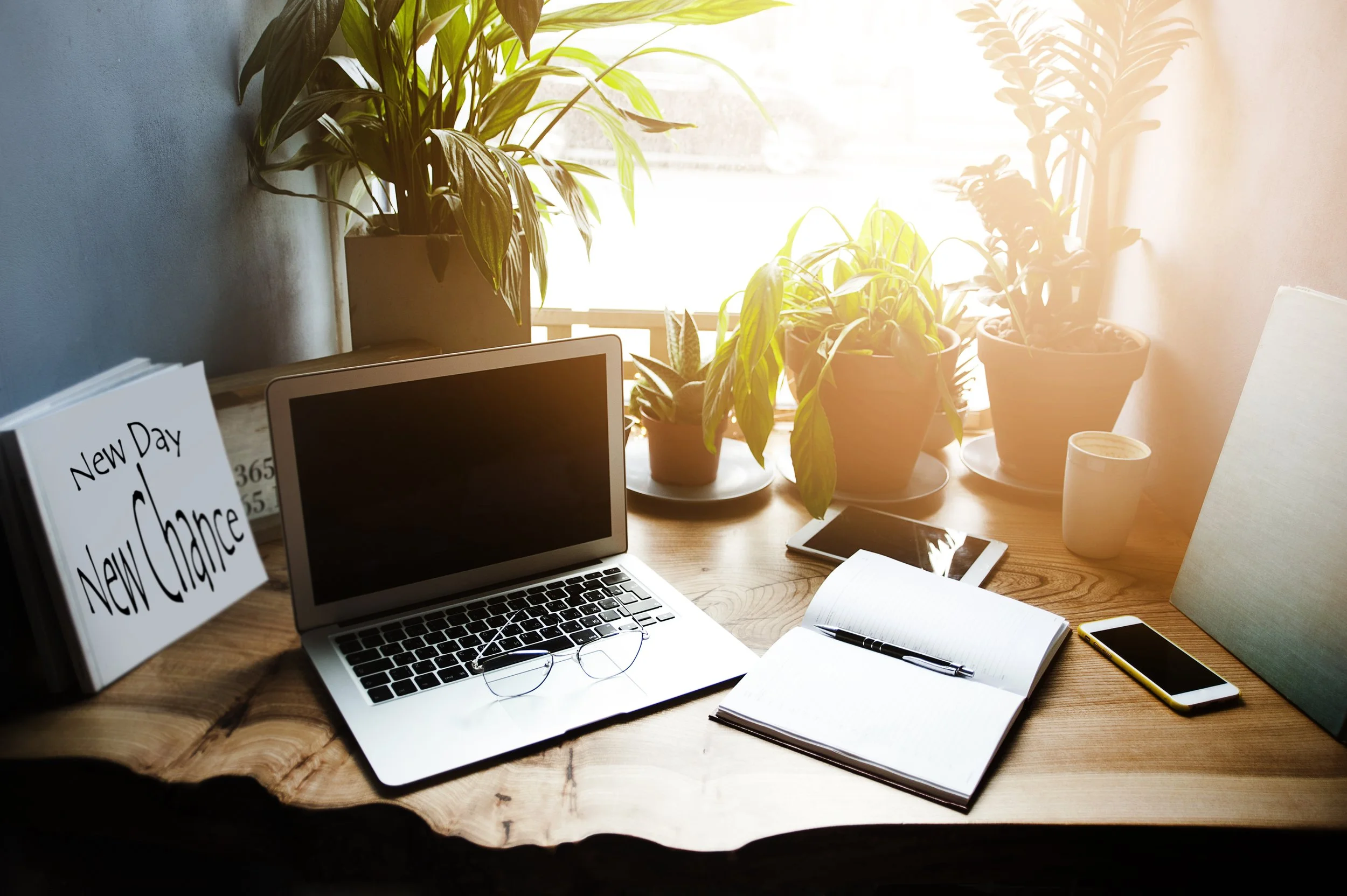 A cluttered wooden desk with a laptop, open notebooks, glasses, and a variety of potted plants near a window with sunlight coming through.