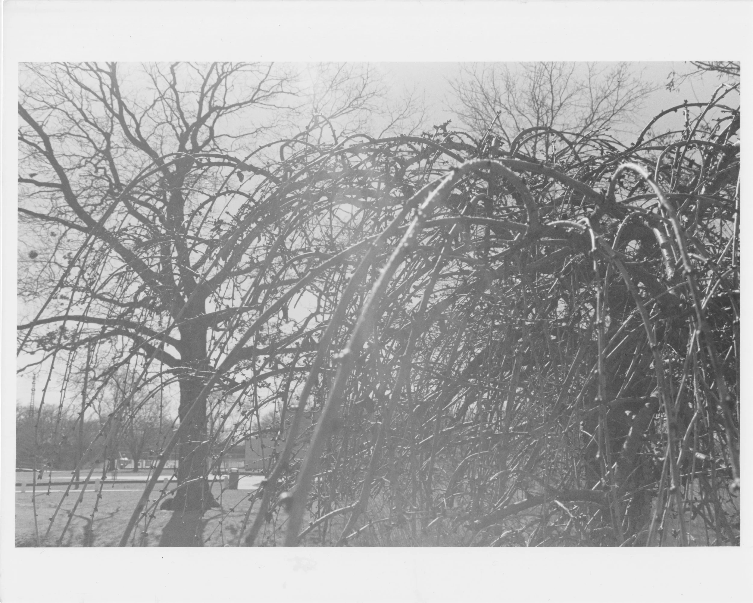 Scan 25.jpeg