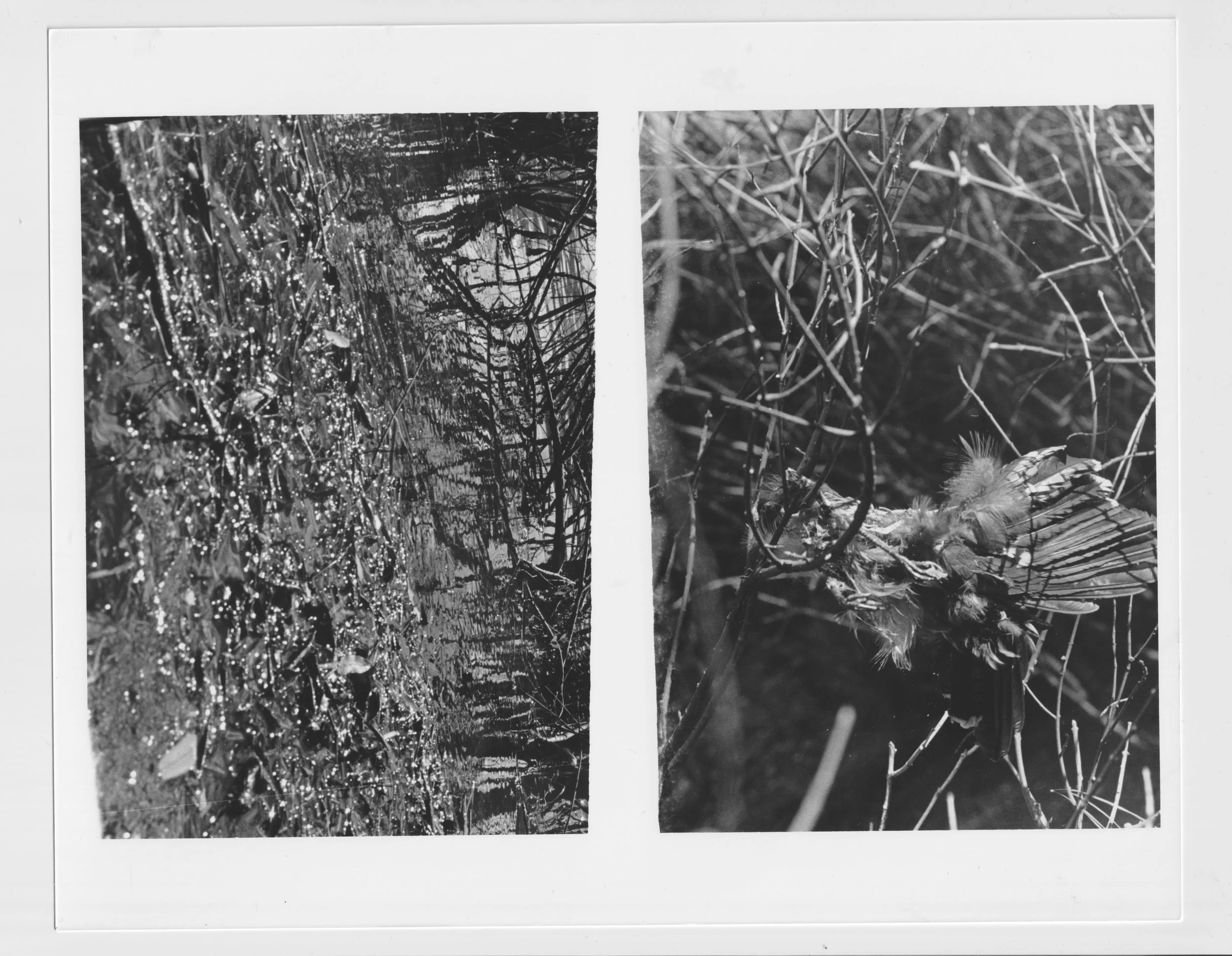 Scan 47 copy.jpeg
