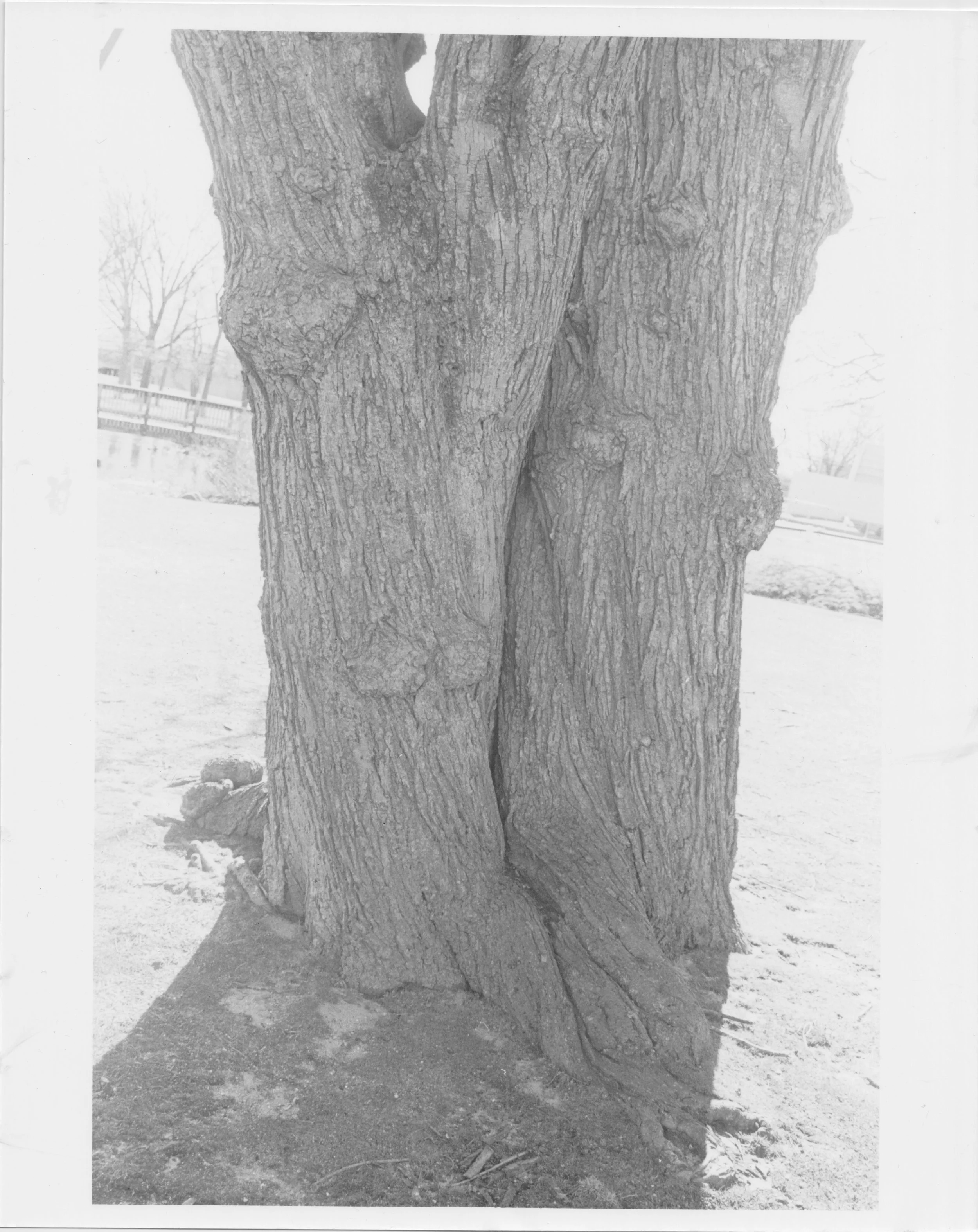 Scan 32.jpeg