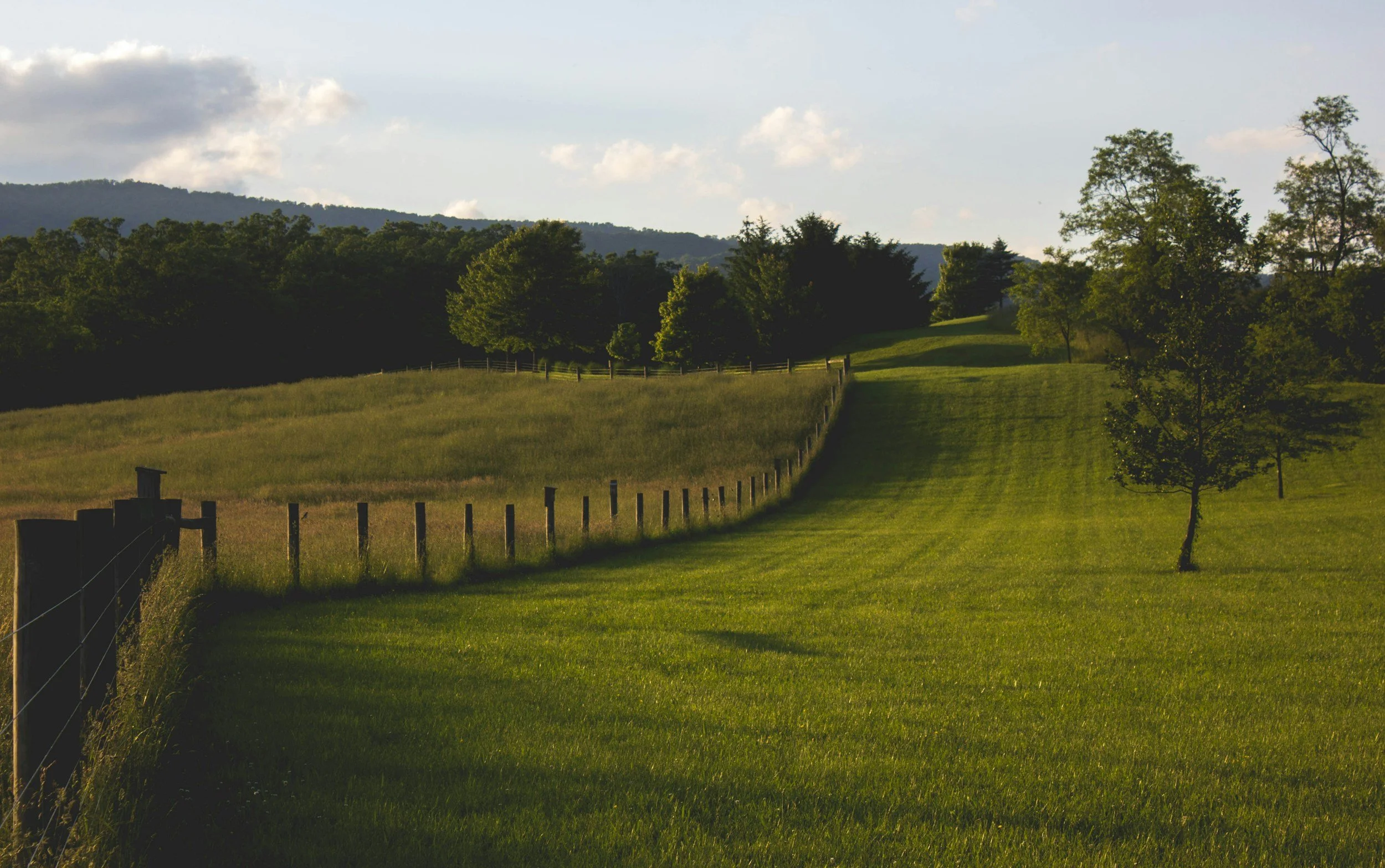 Rolling farmland and fence lines in Pendleton County, Kentucky, illustrating rural terrain suited for forestry mulching and land clearing