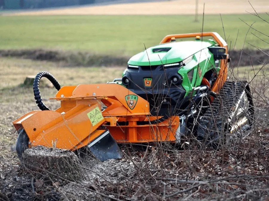 Professional stump grinding service removing tree stumps in the Kentucky, Ohio, and Indiana tri-state area