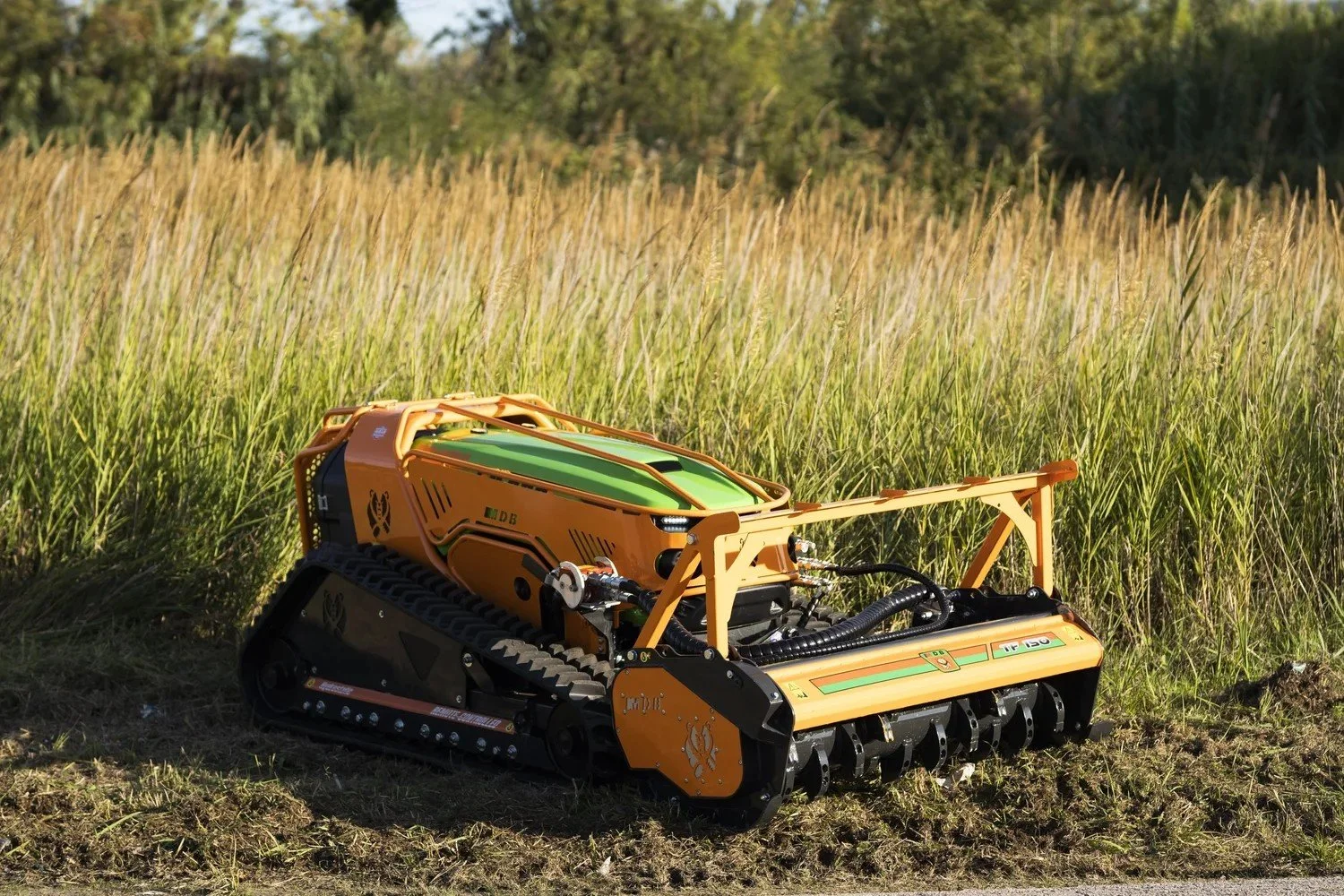 Heavy brush cutting overgrown field pasture clearing Kentucky And the greater Cincinnati area