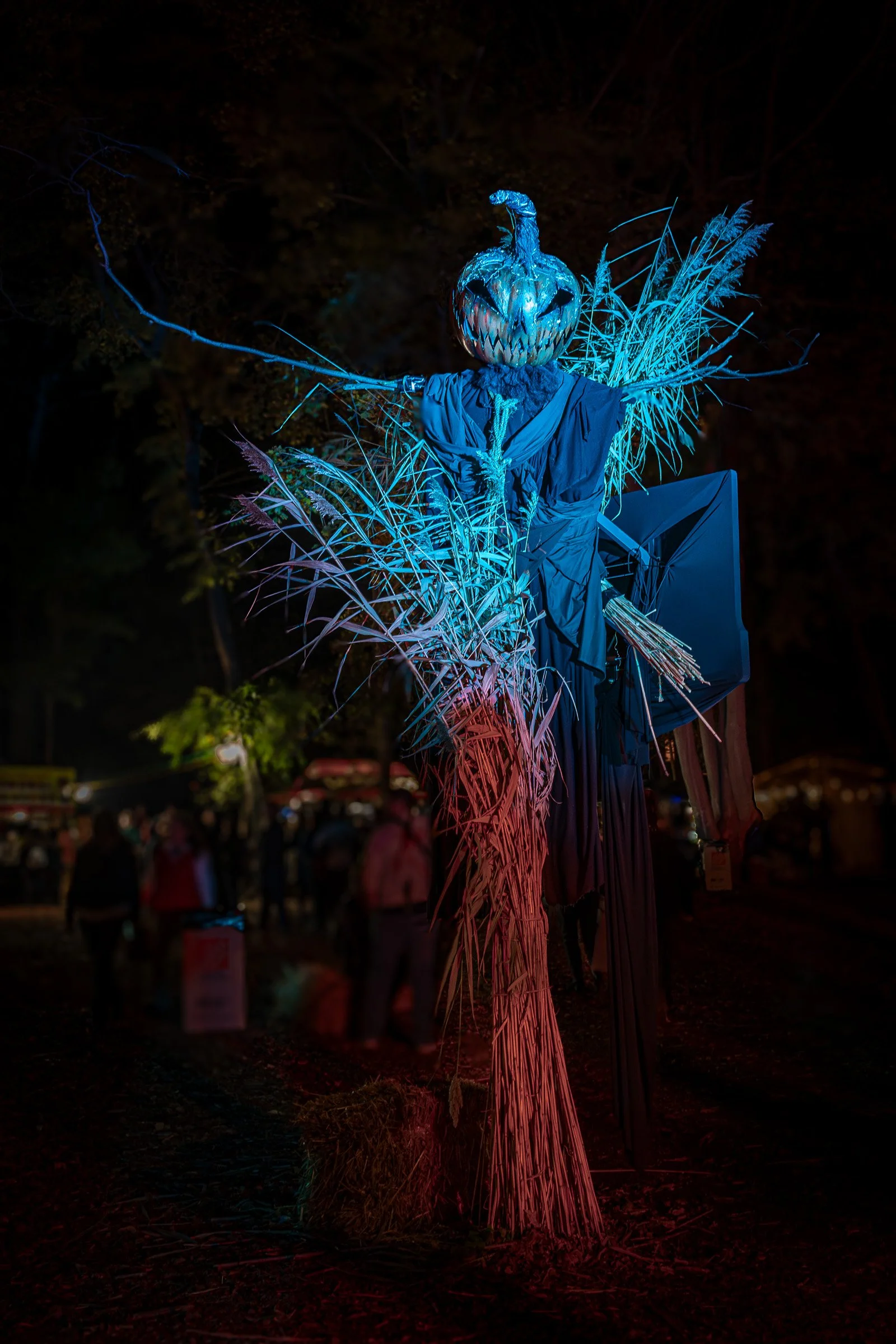Salem Night Faire-7.jpg