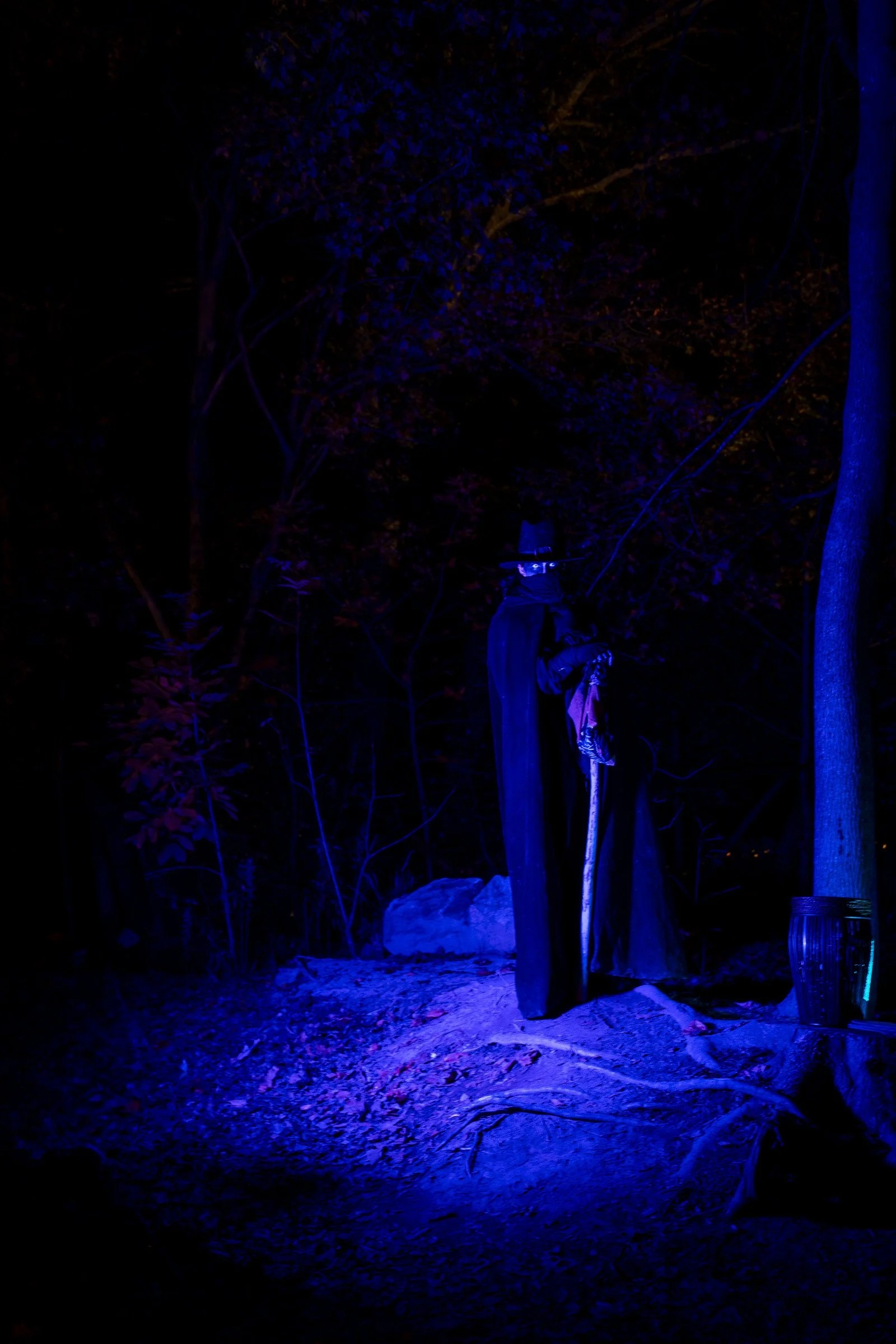 Salem Night Faire-9.jpg