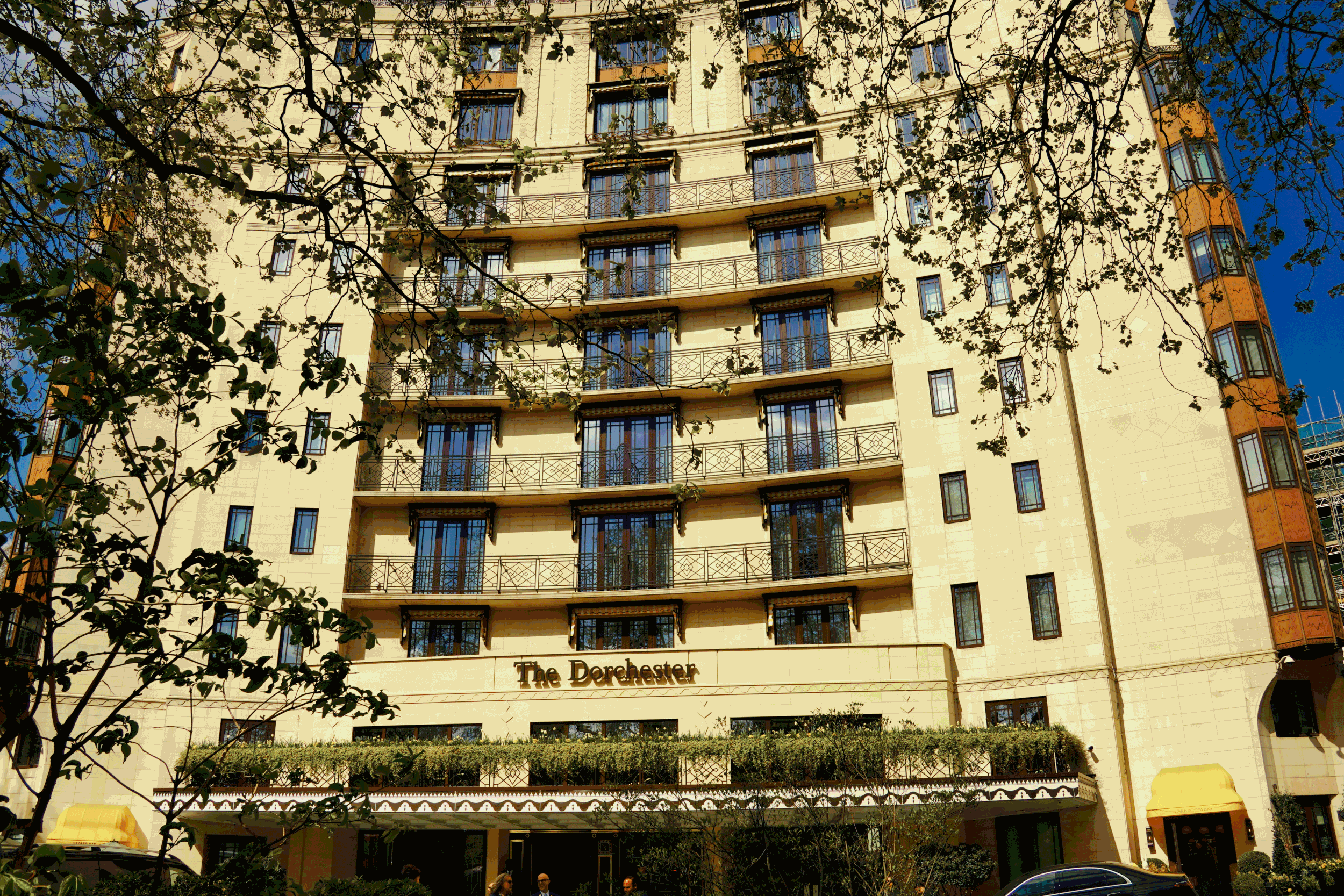 An image of the Dorchester Hotel