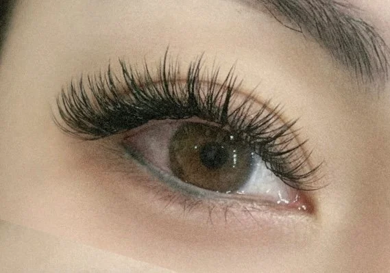 3D Natural Hybrid Style