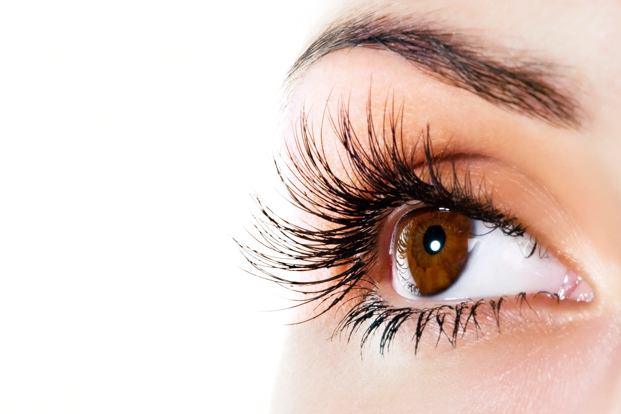 Close-up of a person's eye with long eyelashes, brown iris, and well-groomed eyebrow, set against a plain white background.
