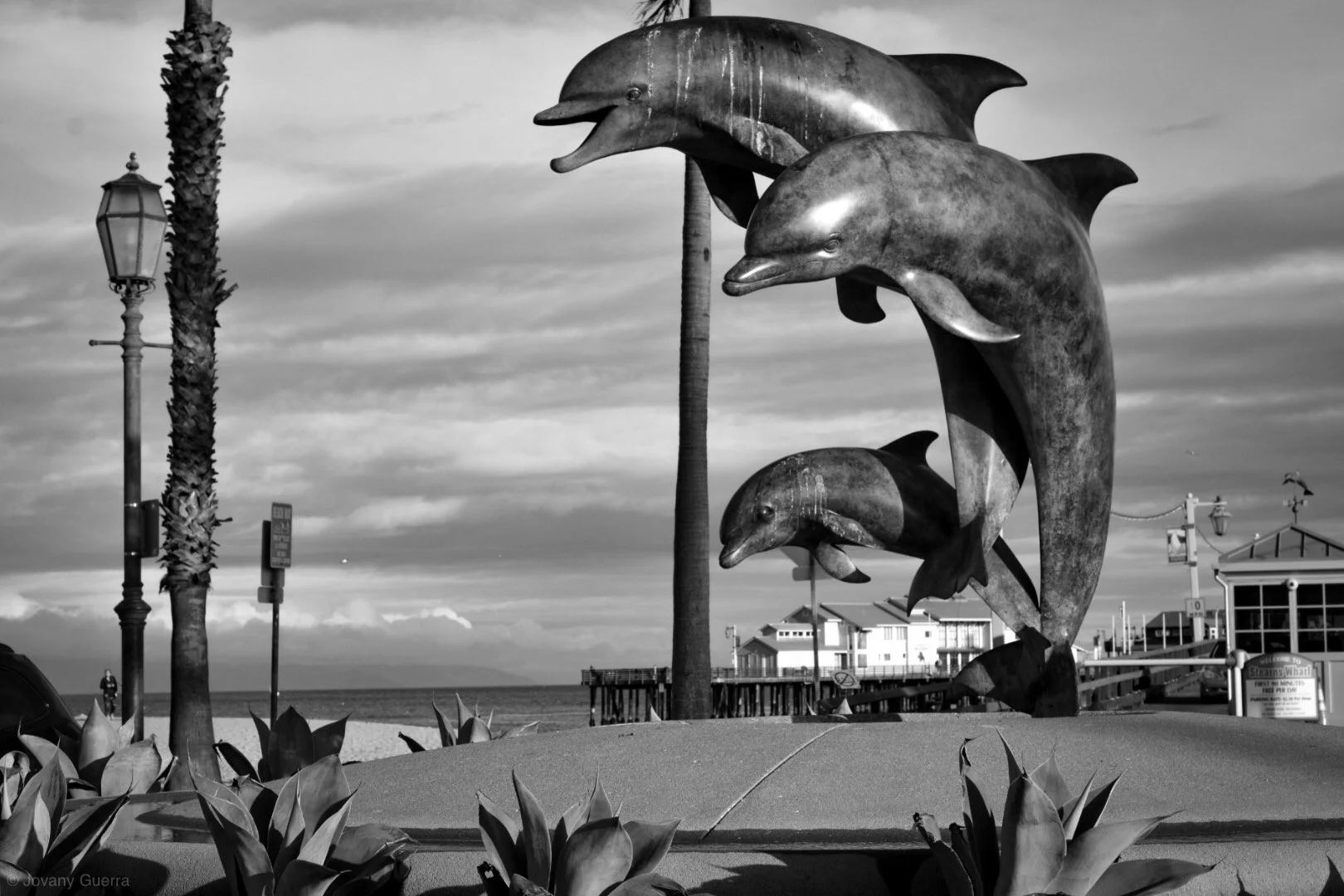 Why Most People Will Miss the Biggest Transfer of Wealth