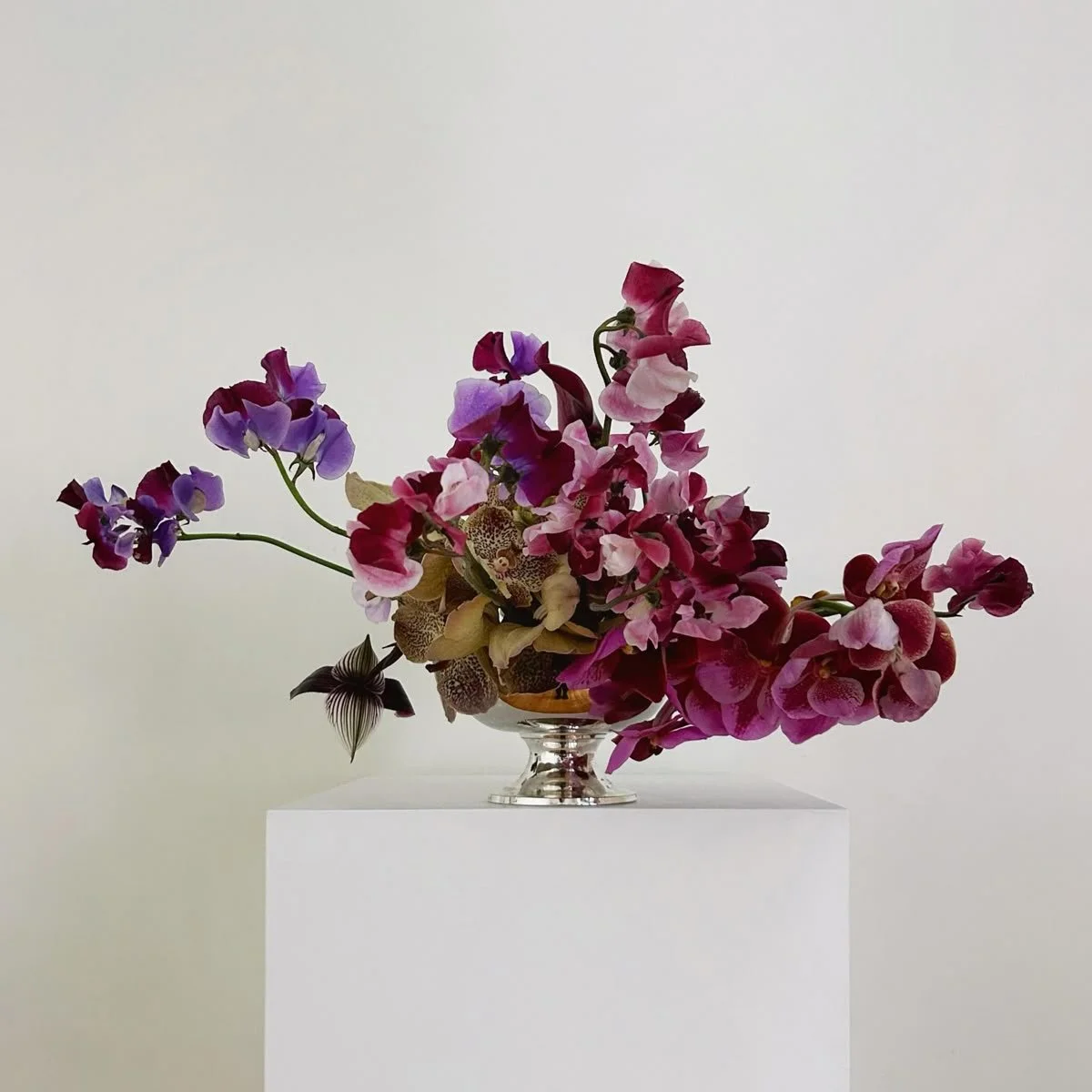 LILIAS S-SIZE