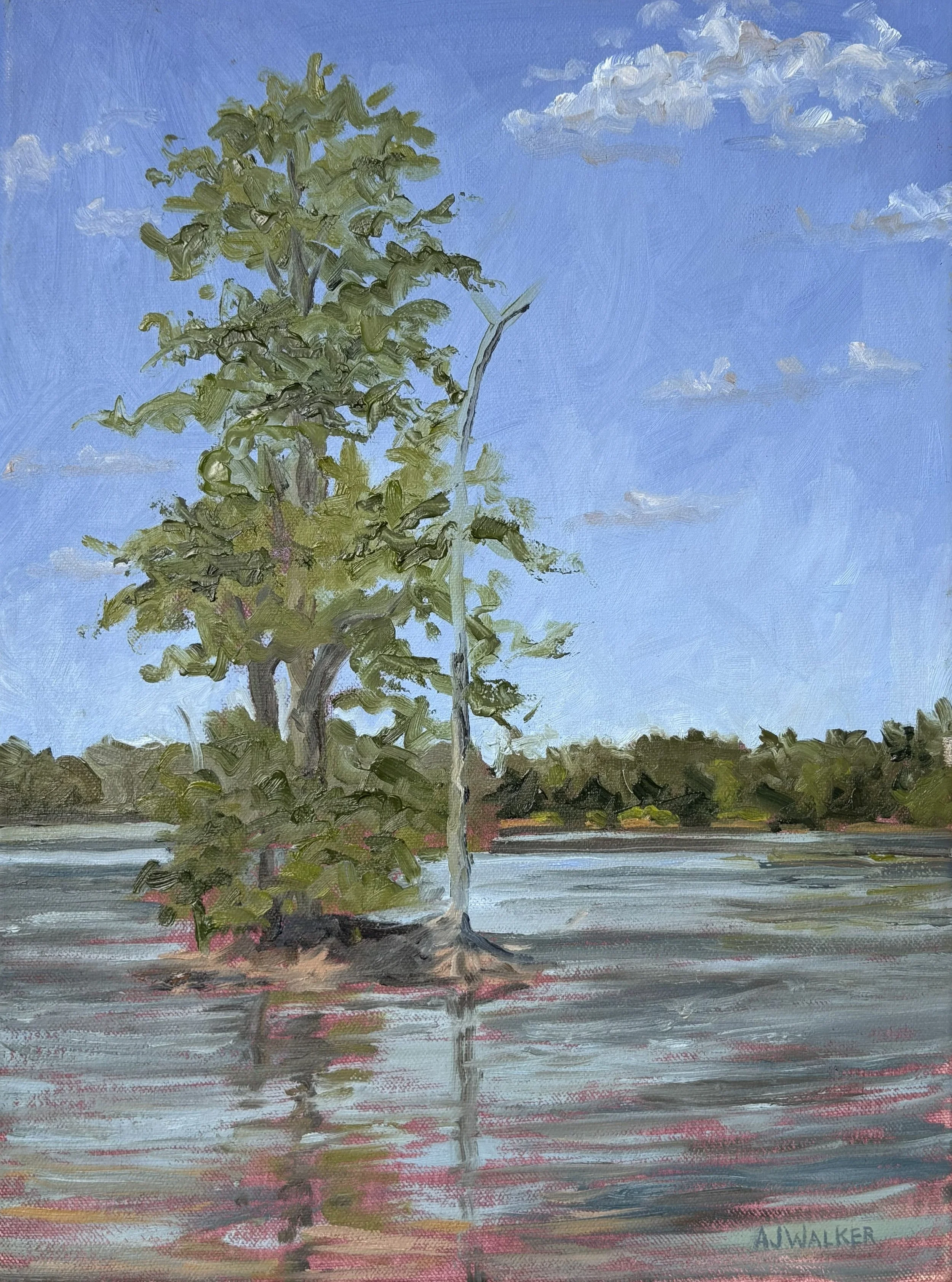 Sycamore Island cropped.jpg