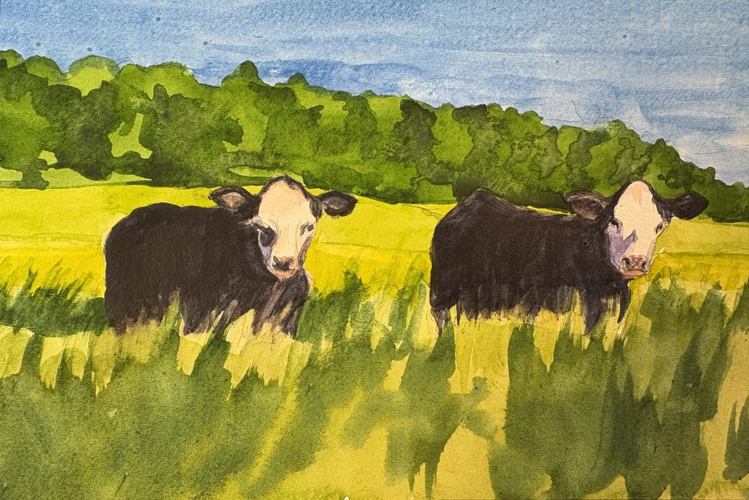 Baldies watercolor