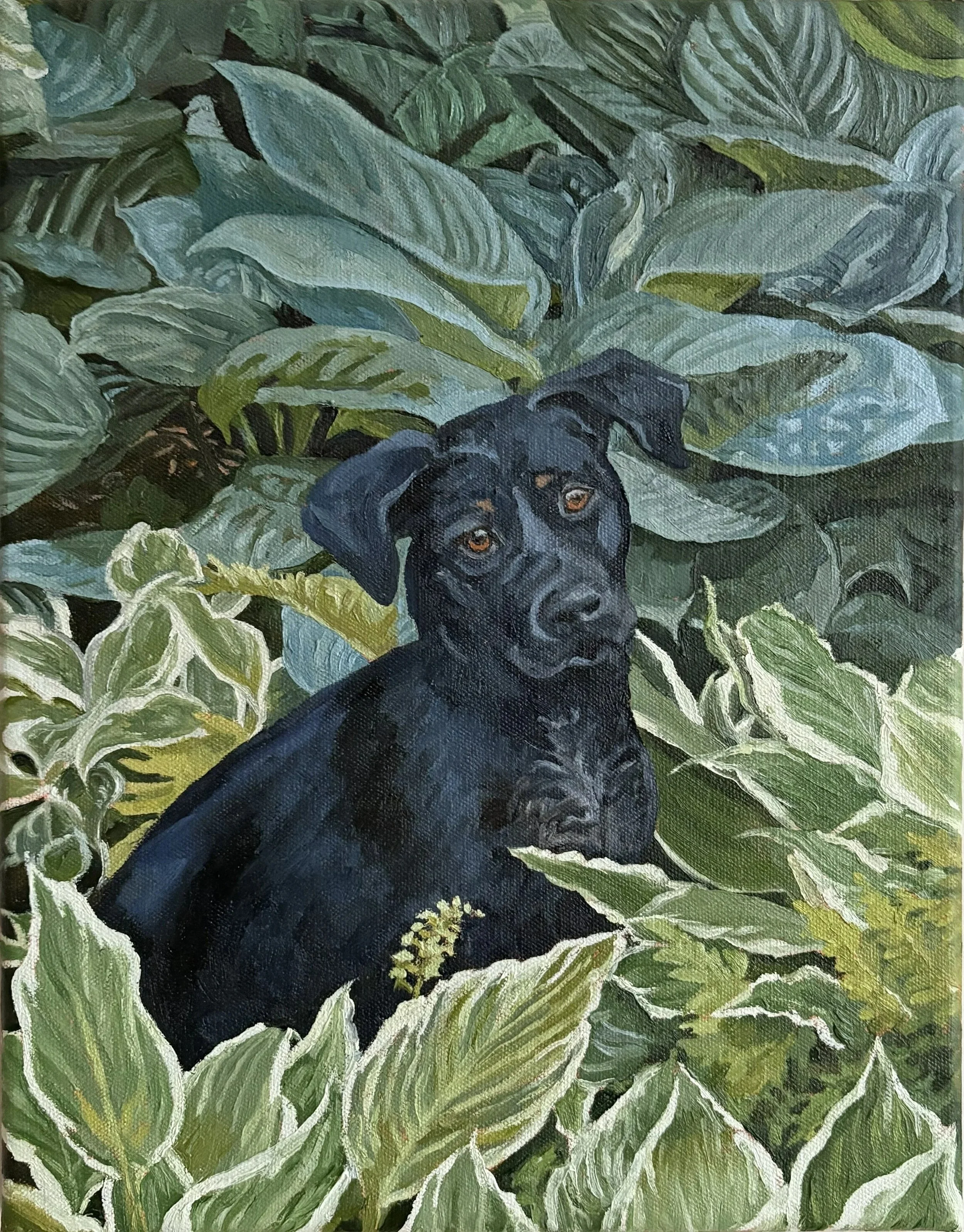 Winnie in the Hosta oil on canvas
