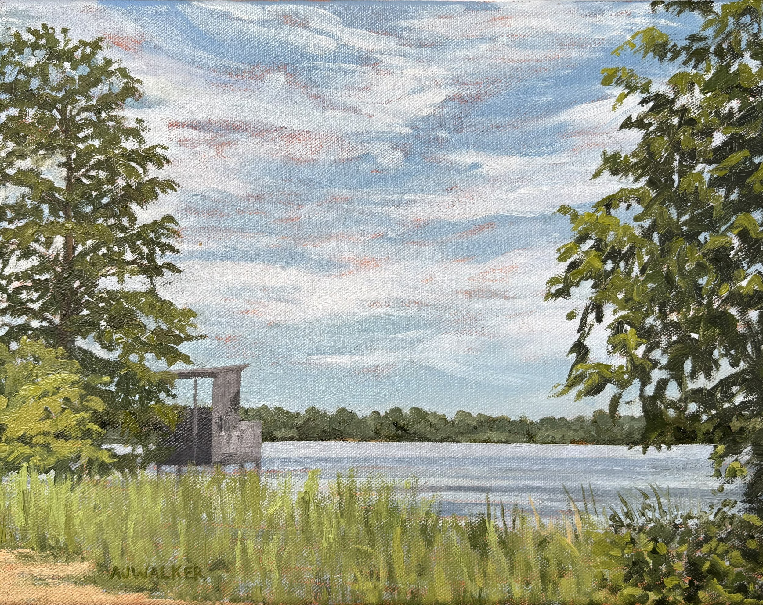 Little Buckland cropped.jpg