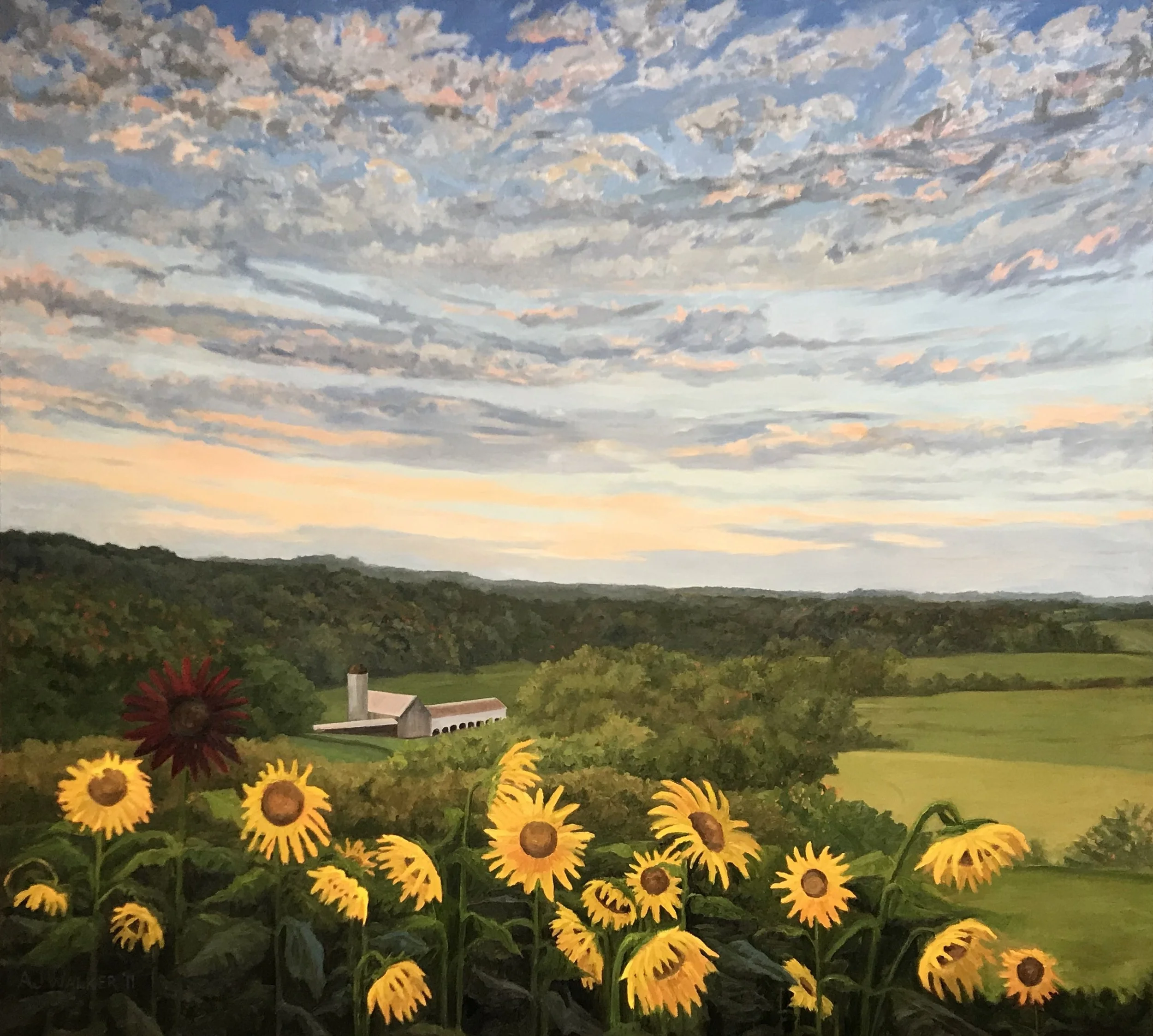 Strathmore Sunflowers cropped.jpg