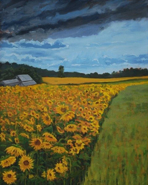 Sunflowers