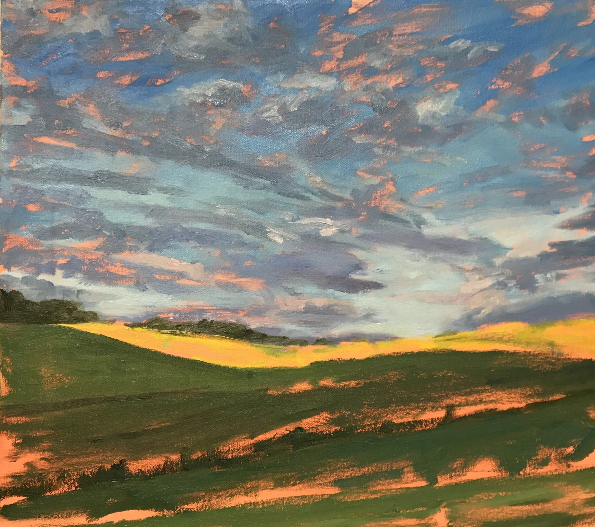 Evening Colors.JPG