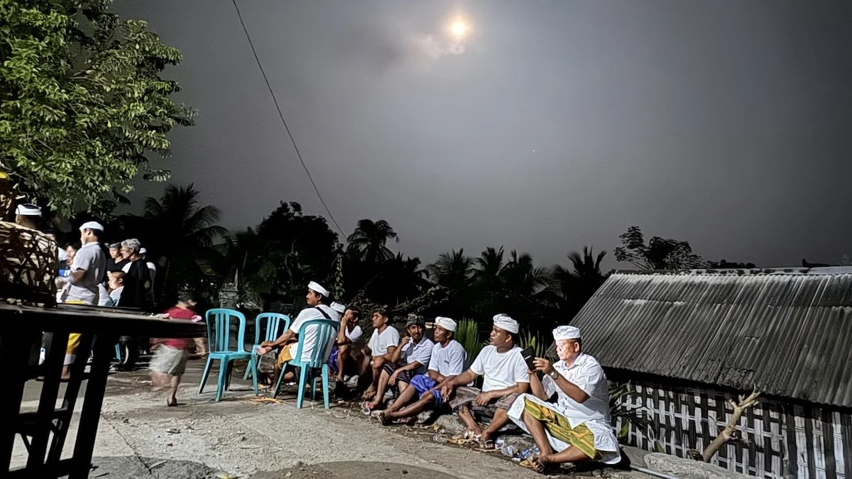 IMG_2155.jpeg