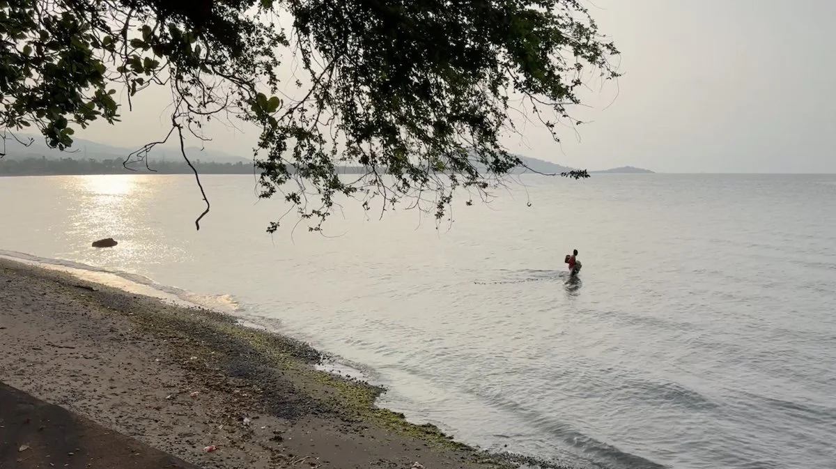 cast net 1.jpeg