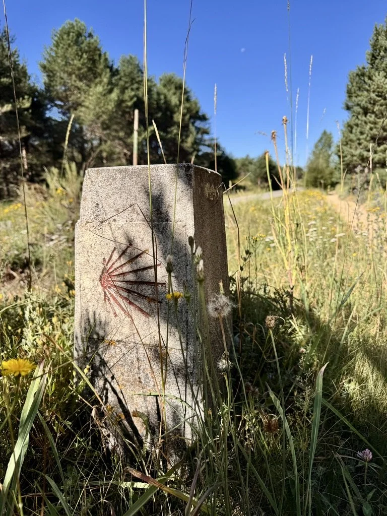 trailblaze camino de santiago