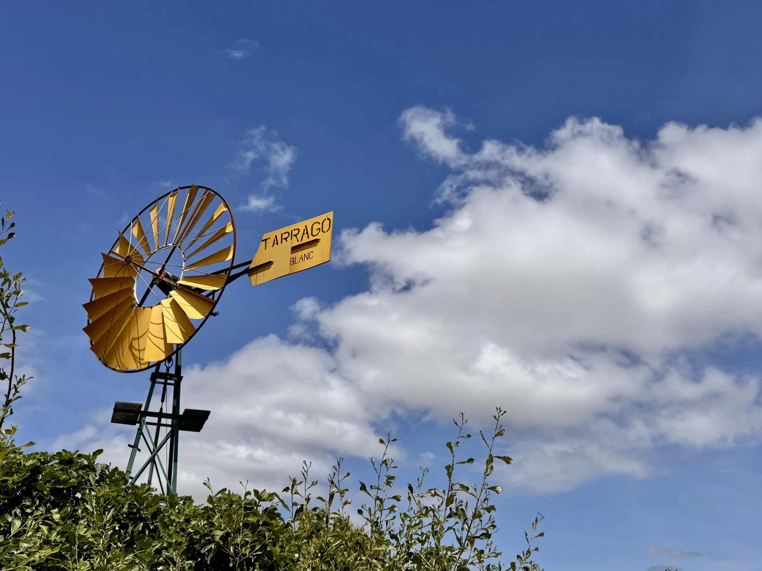 yellow windmill blue sky Tarrago
