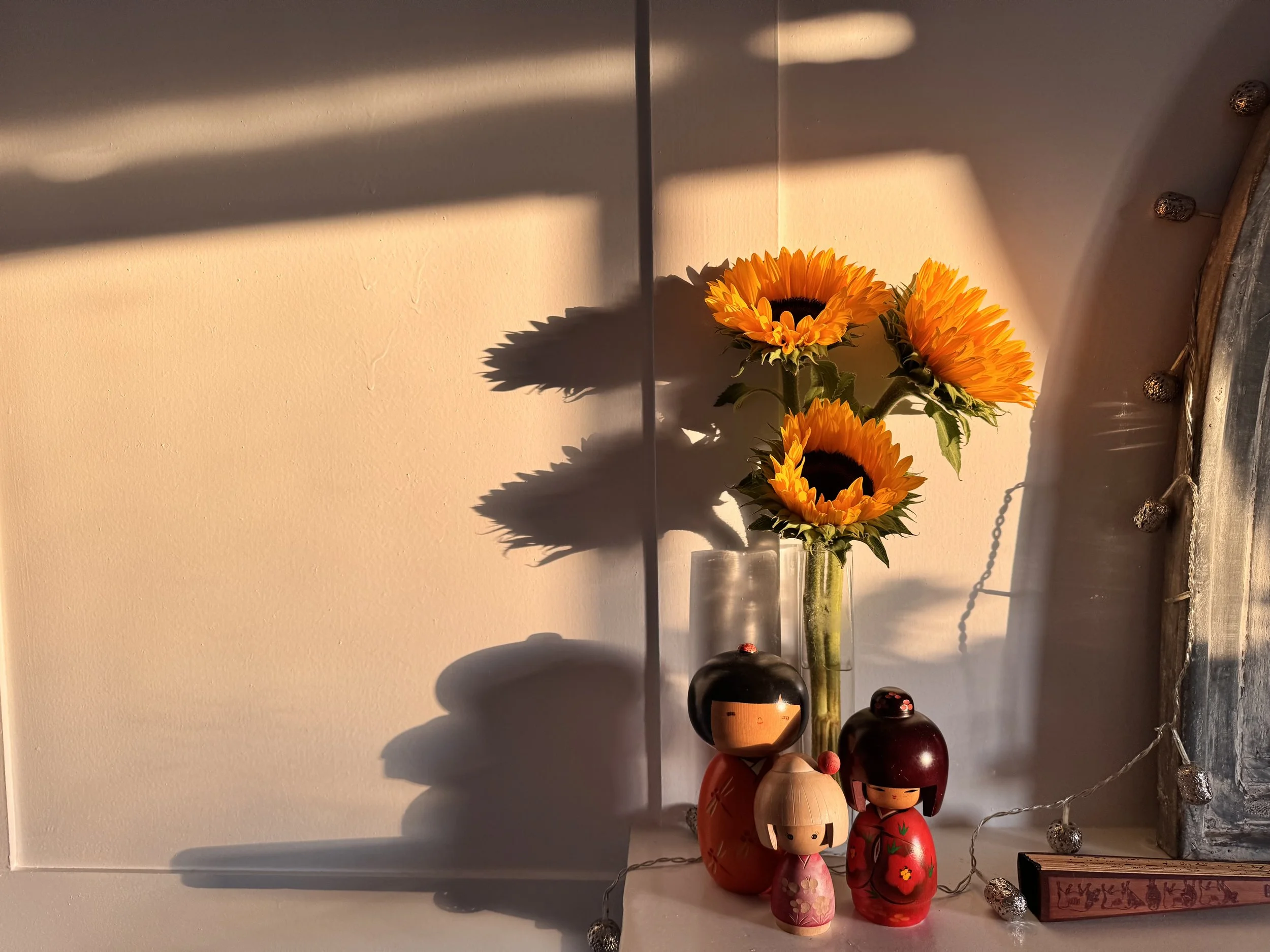 sisters sunflowers sunrise shadow light