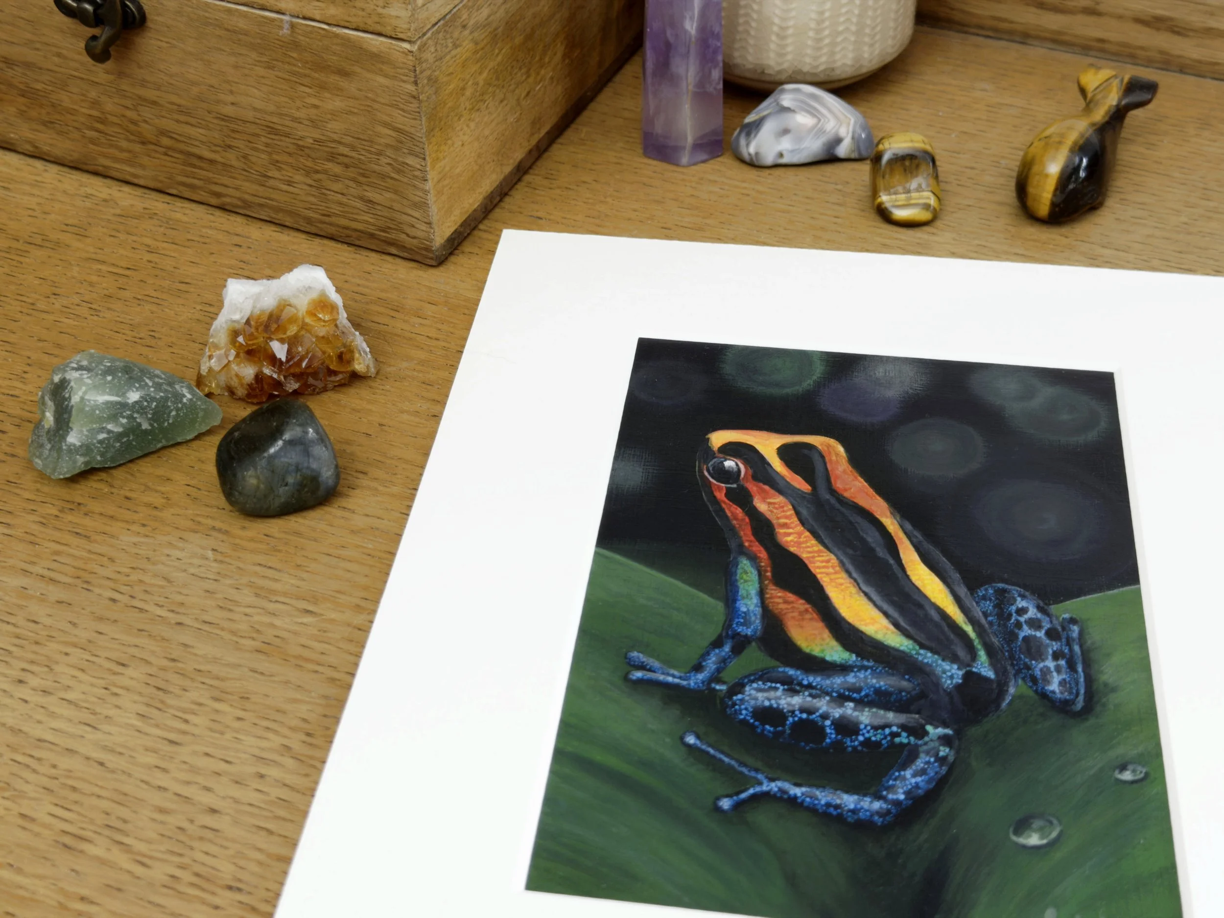 Painting of a poison dart frog lying on a rustic wooden sideboard surrounded by some crystals