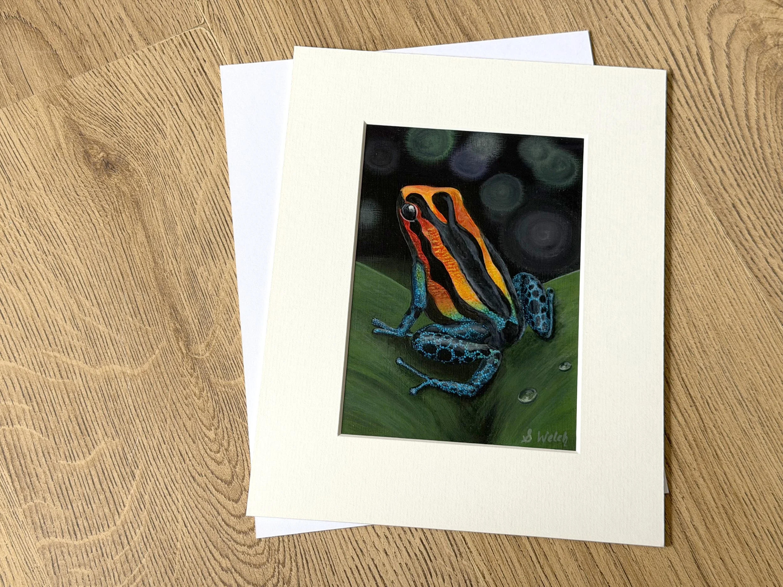 Frog 5.jpg