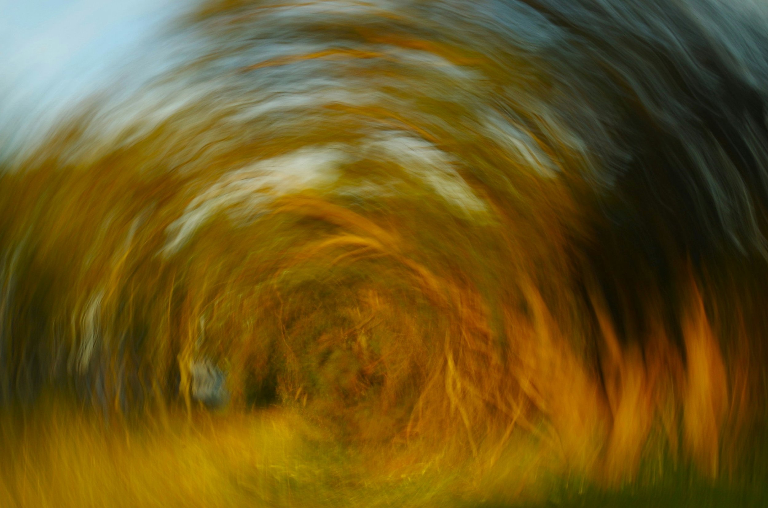 Chiropractic Care for Vertigo in Murrysville