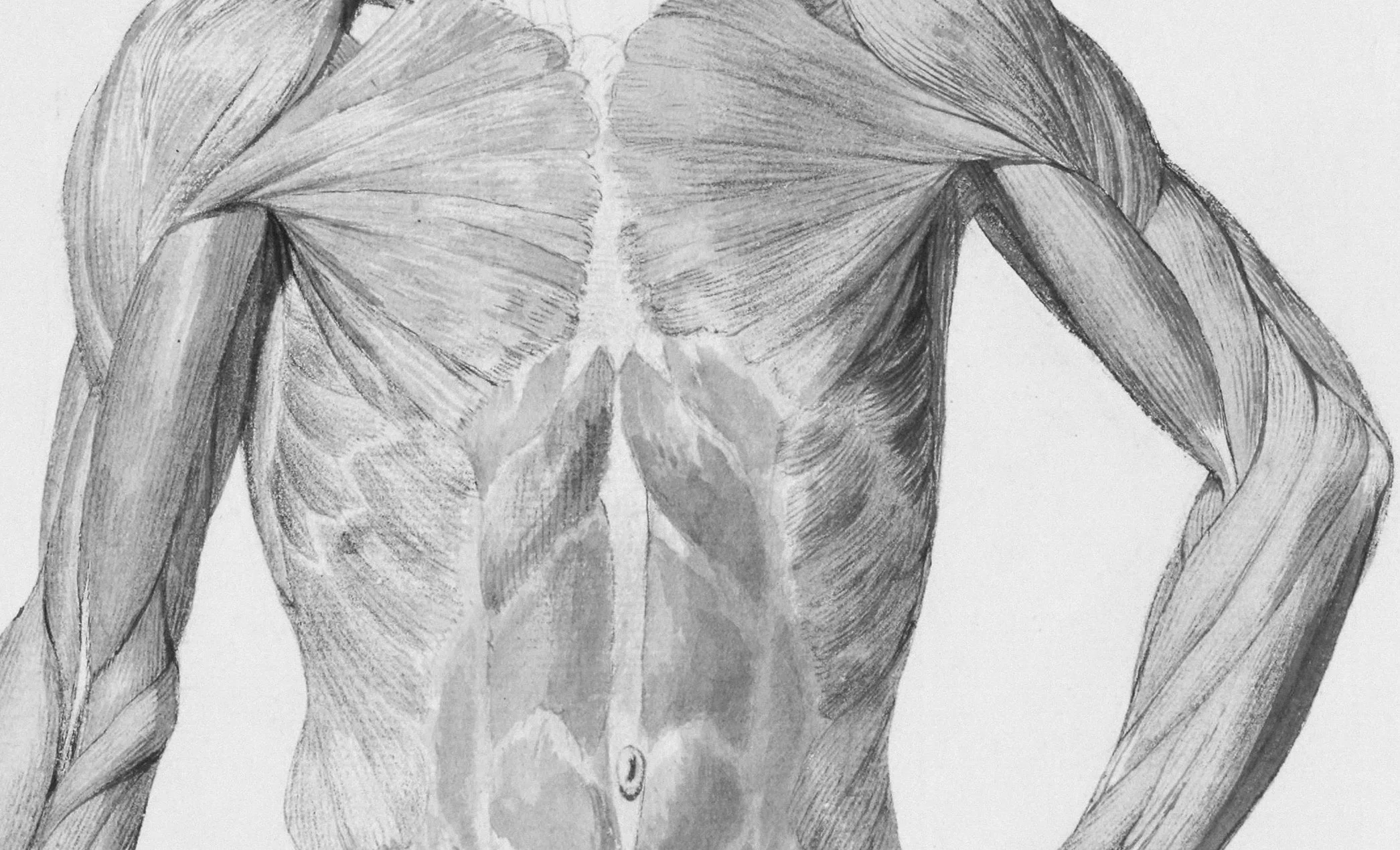 Low-force Chiropractic Care for Fascia in Murrysville