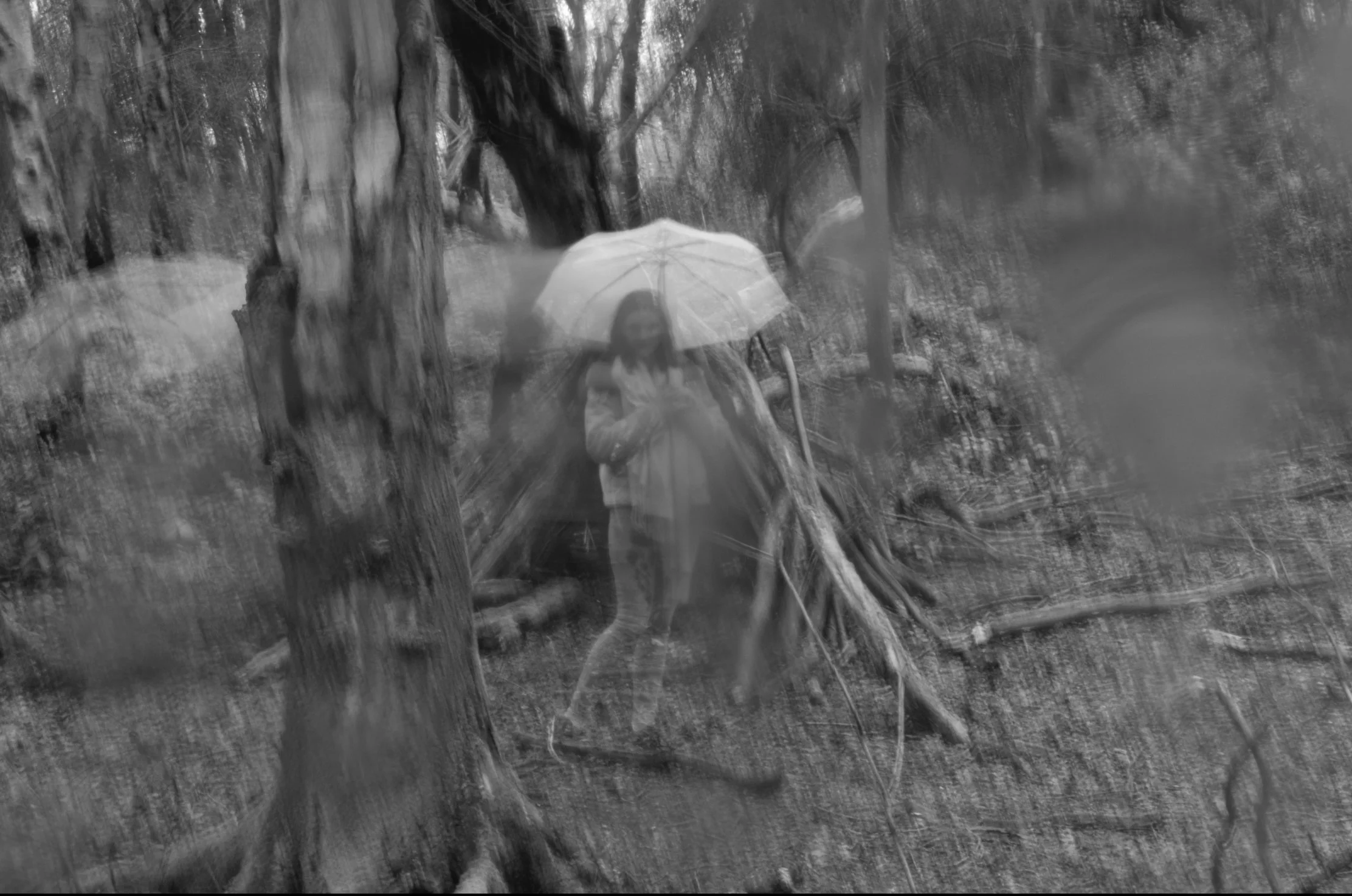 A person holding a transparent umbrella walking through a wooded area on a rainy day, with rain visibly falling all around.