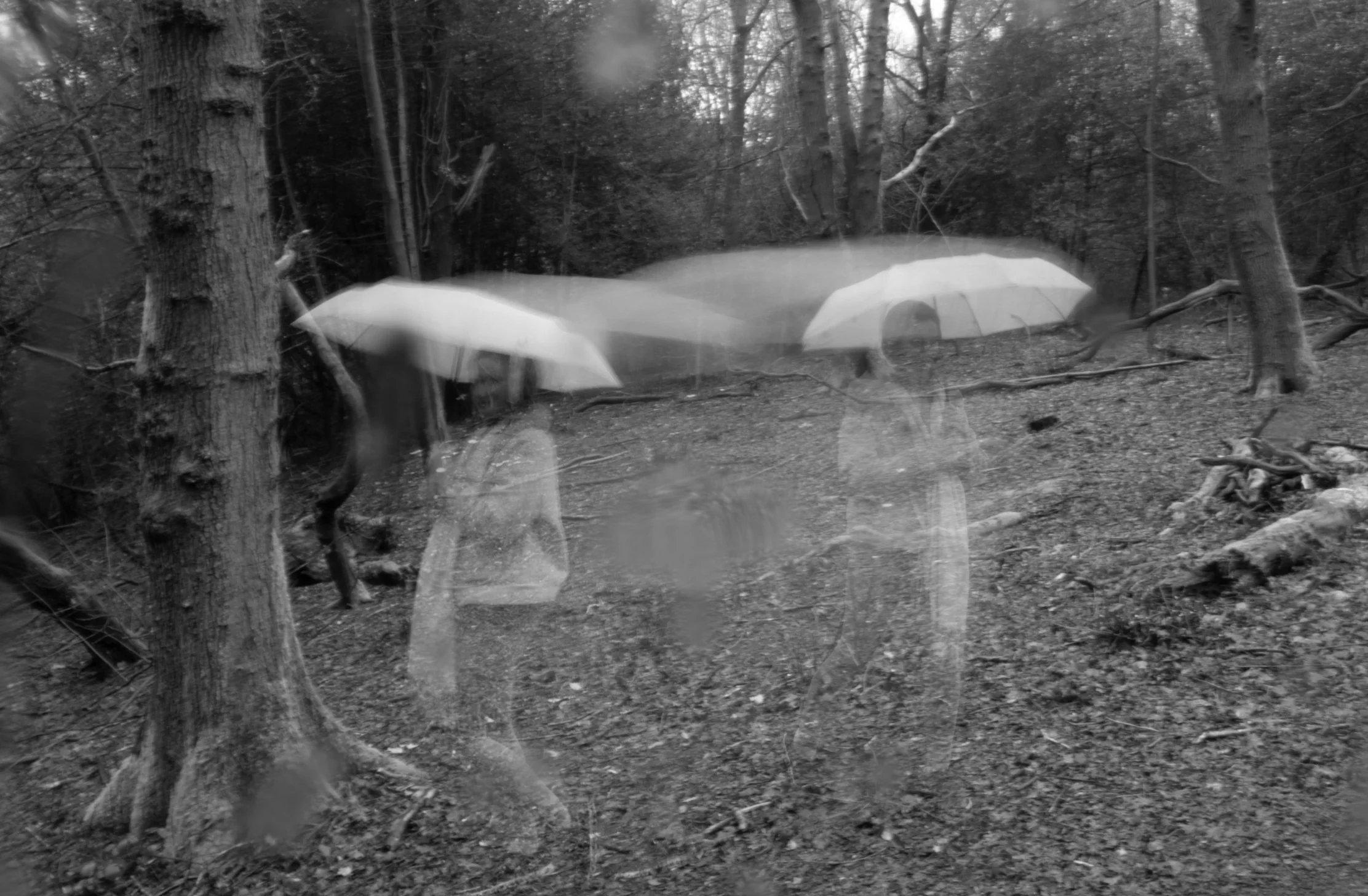 Black and white photograph of a forest scene with trees, branches, and fallen leaves, with a ghostly transparent figure of a person holding an umbrella.