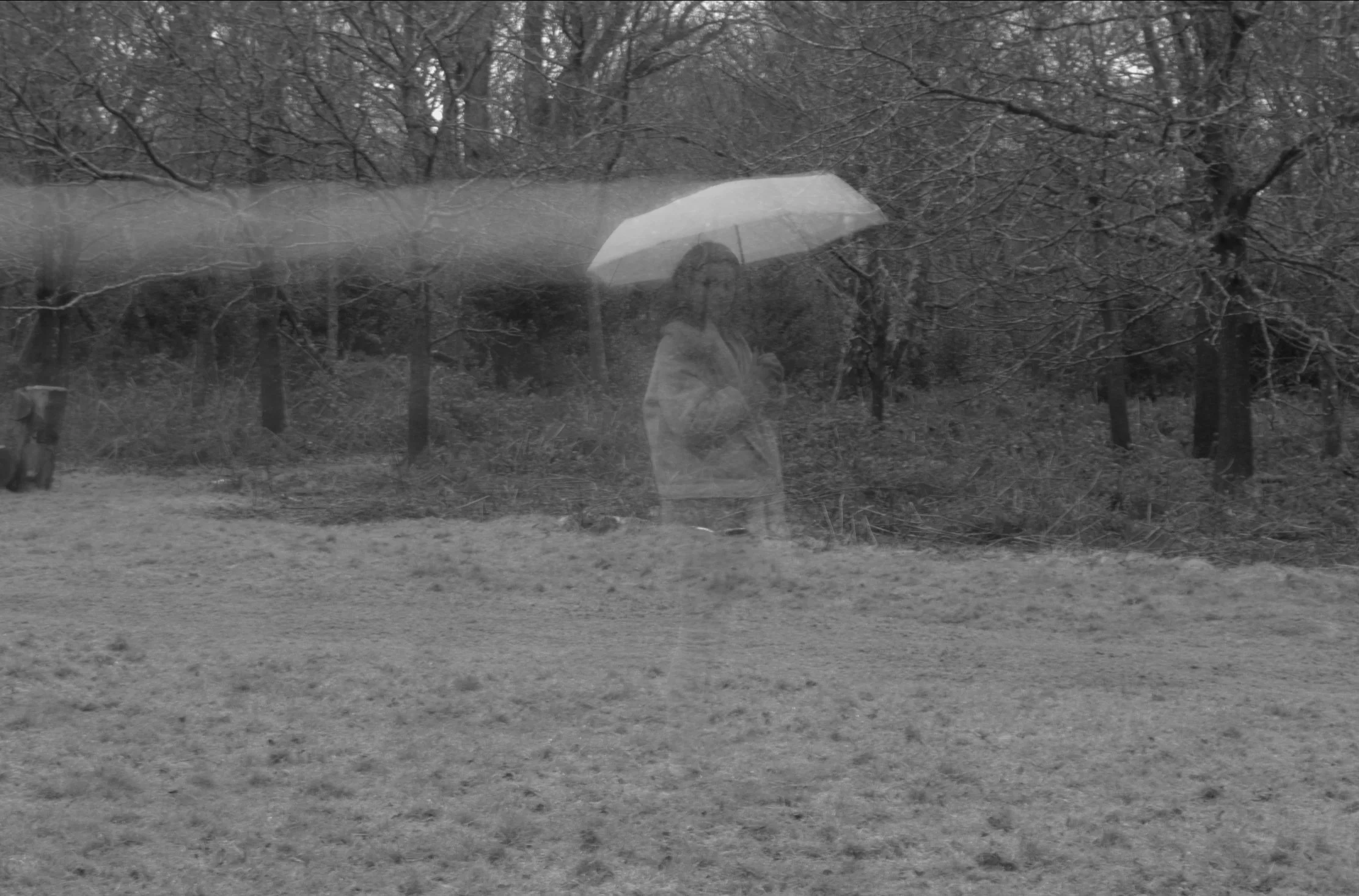 A person walking in the rain with an umbrella on a cloudy day, reflected in a window.
