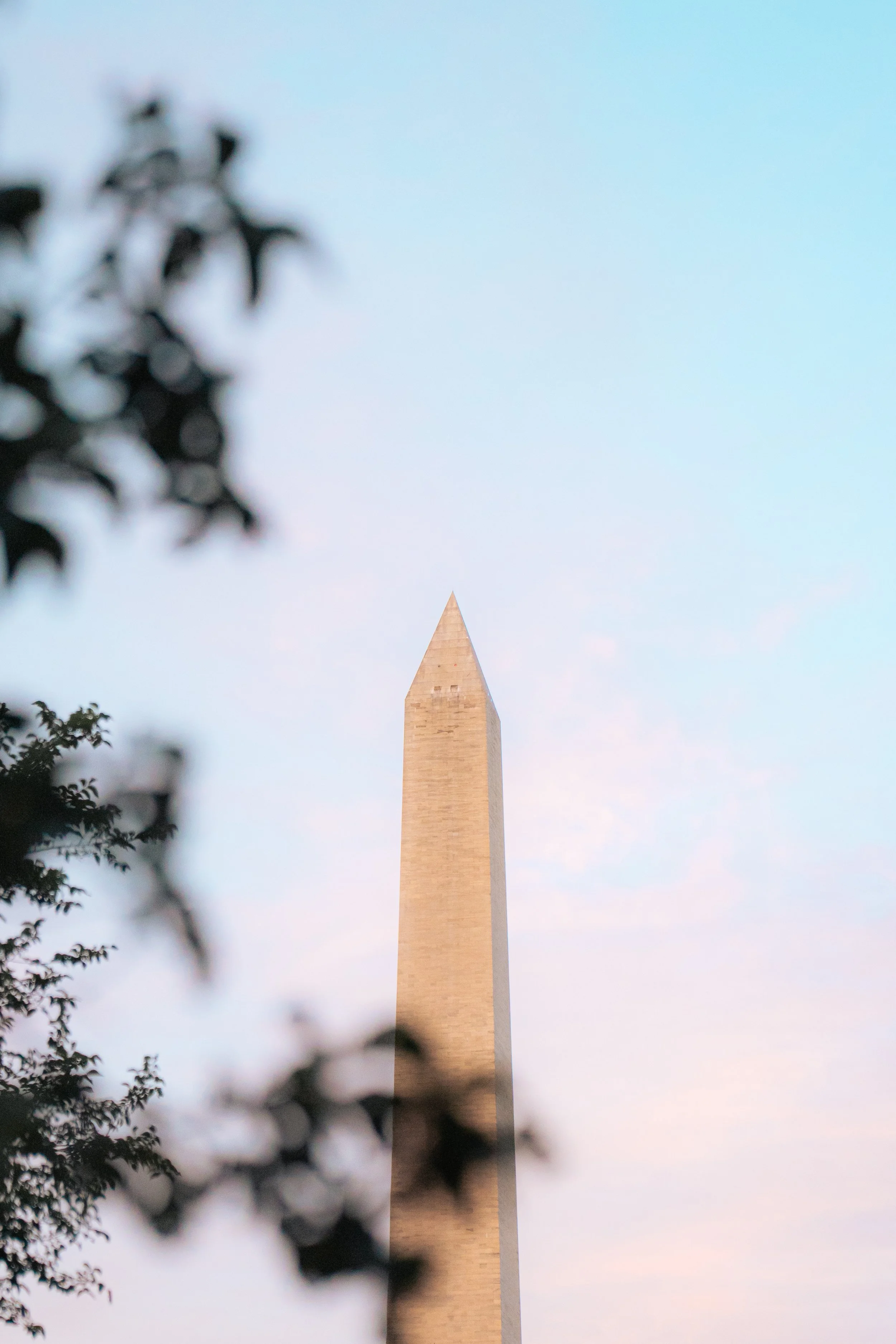 The Monument's