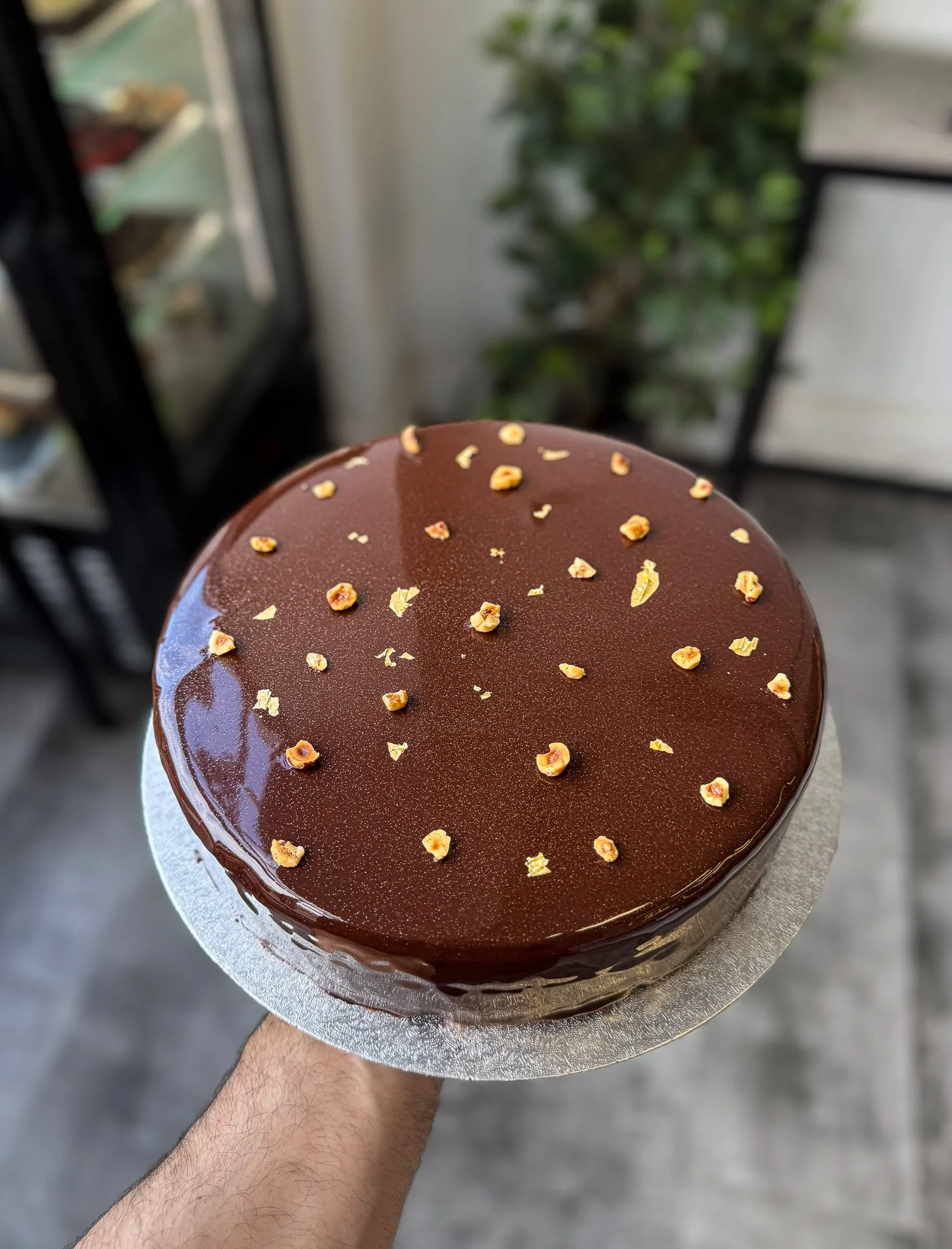 Chocolate cake with a glossy chocolate glaze and sprinkled chopped nuts on top, held by a person's hand.