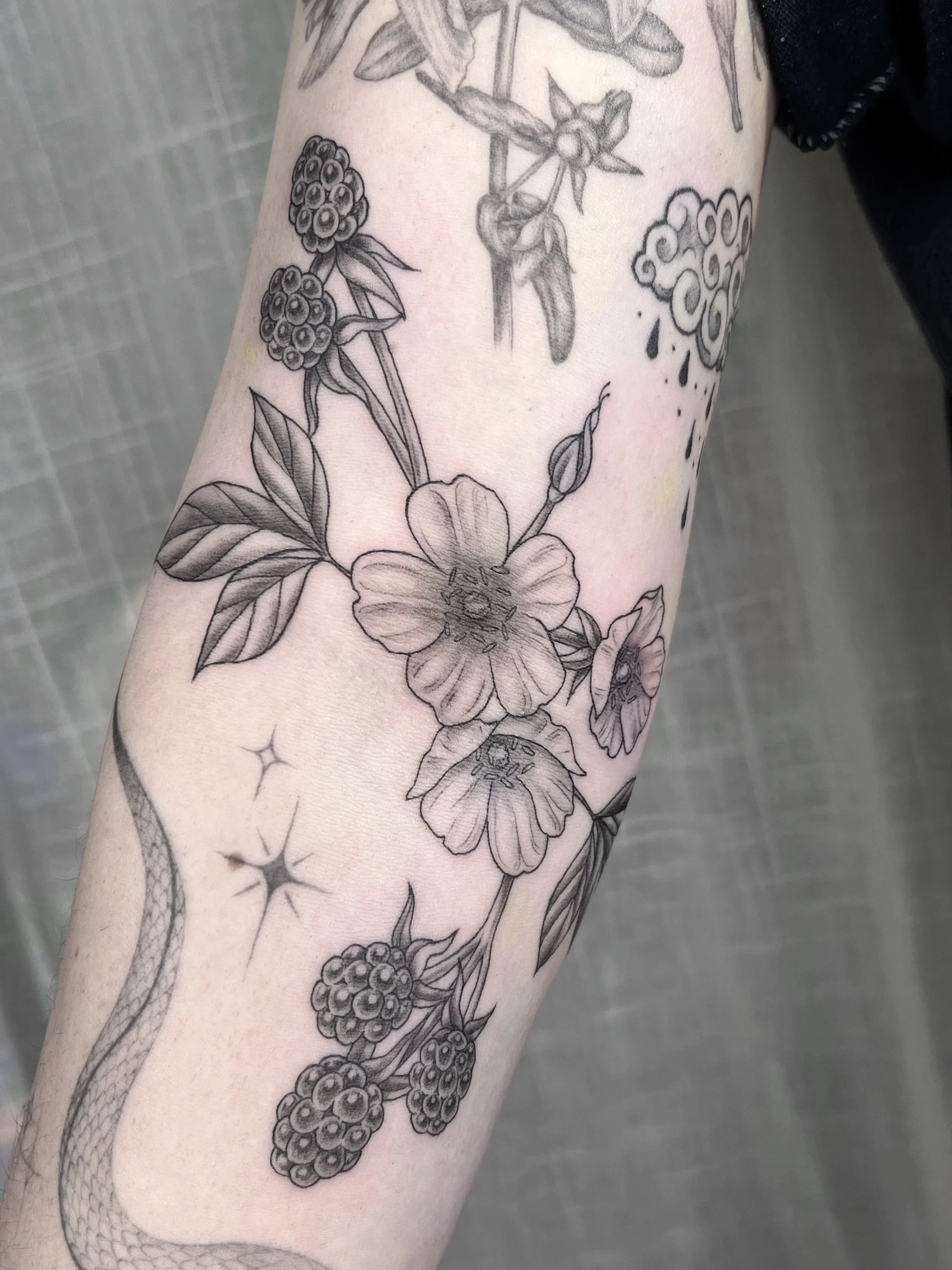 Blackberry Tattoo Portland