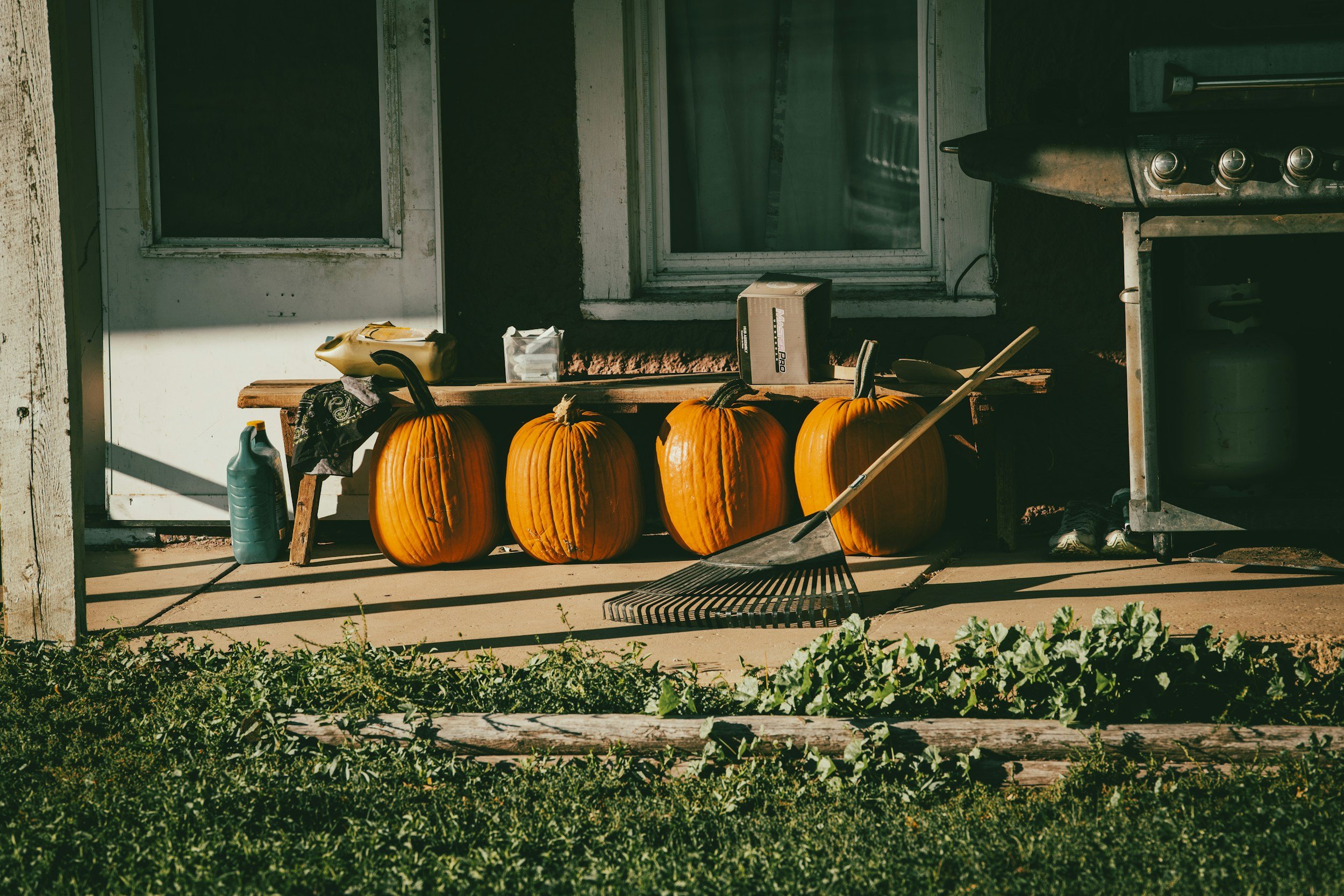 Tutoring Plus – October Newsletter