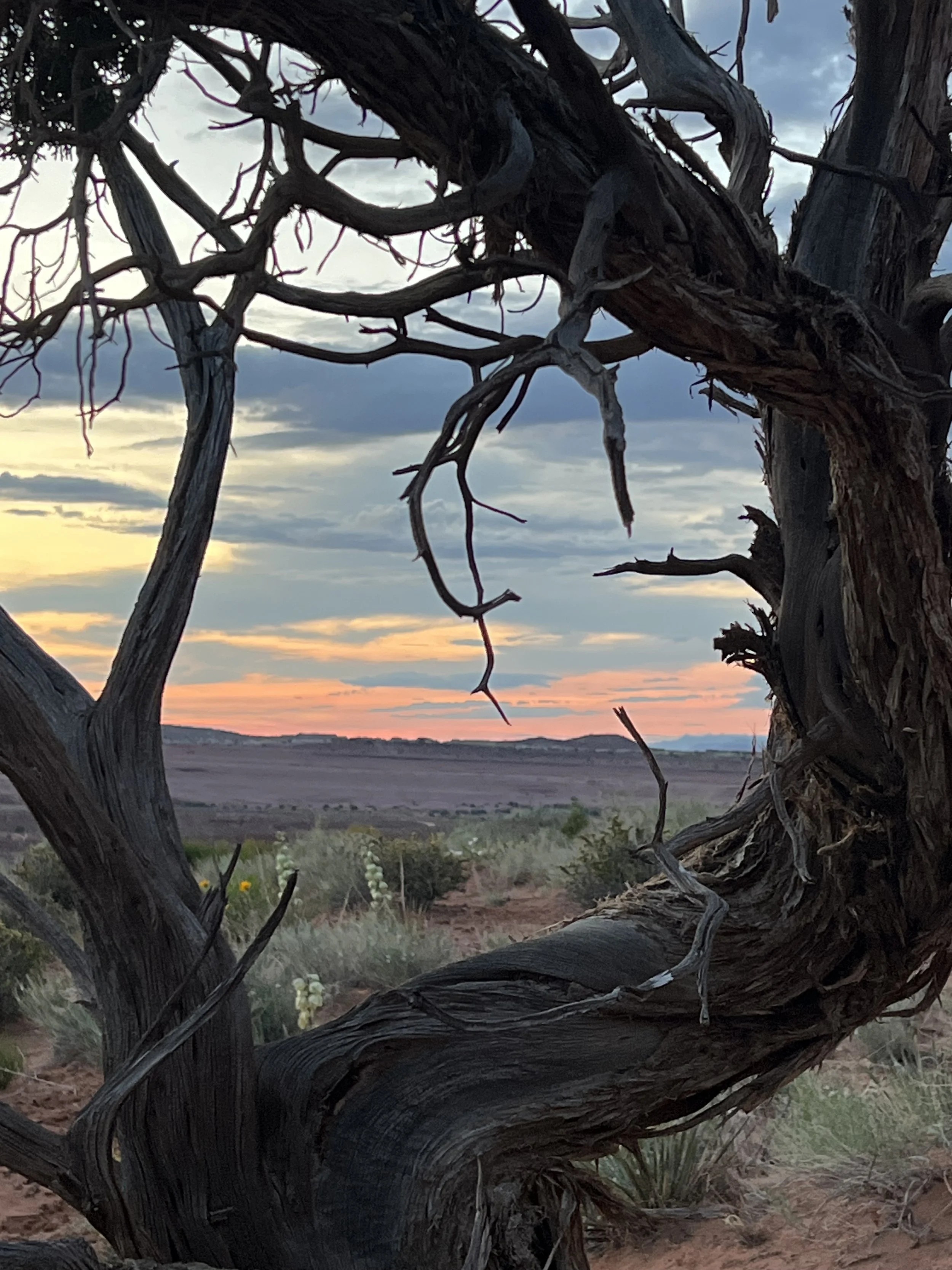 How to stay grounded when the world feels upside down.